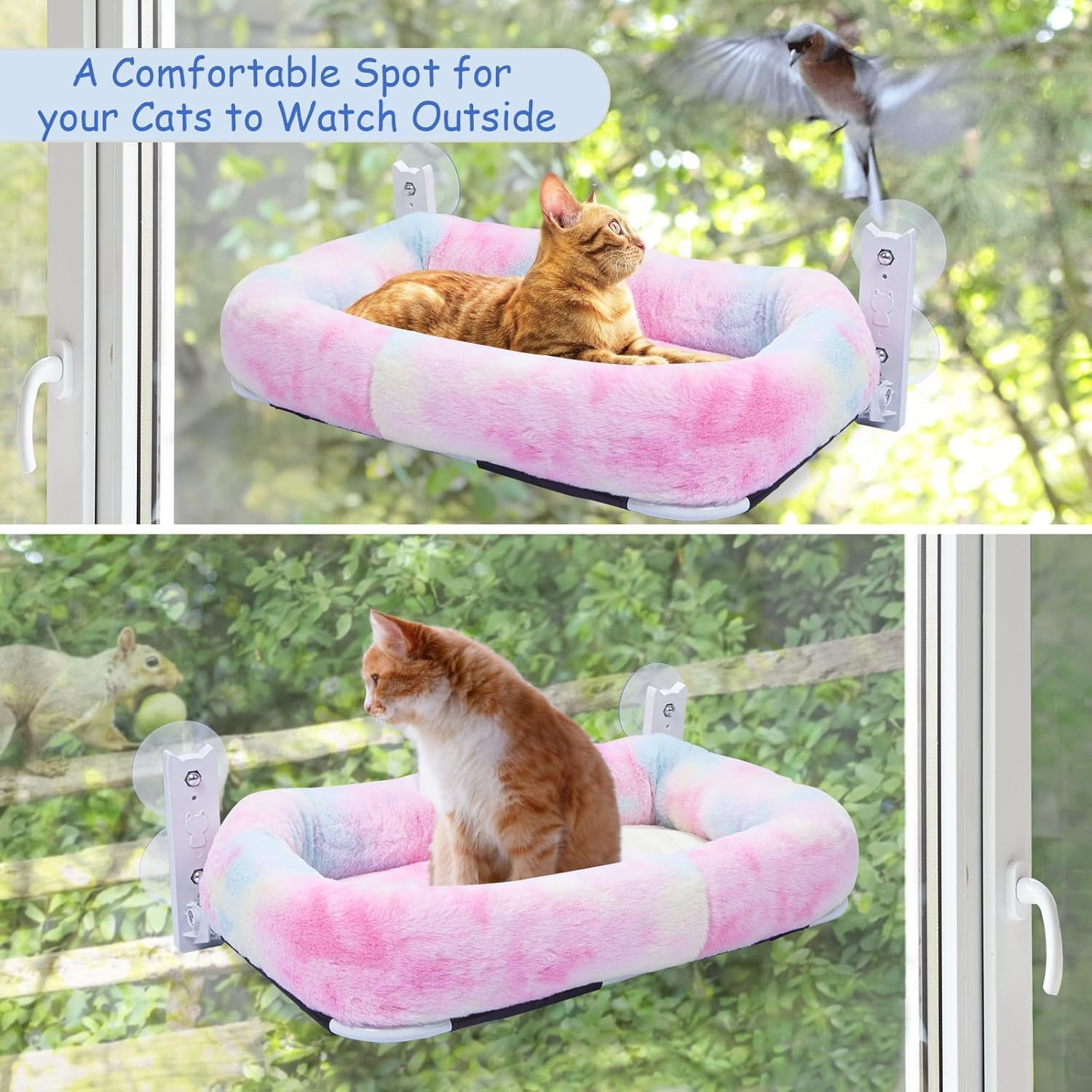 Cordless Cat Perch for Window,Foldable Cat Window Hammock with 4 Strong Suction Cups and Soft Bed,Embeded Machine Washable Padded Bed for Large Cats and Kittens image number 4
