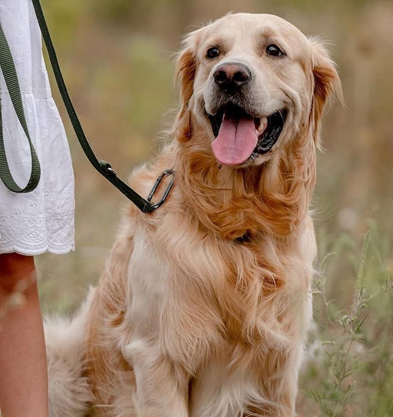 3 Pieces Wallet with Spring O-Ring Clip Oval Clasp Clip Keychain Gold Key Ring round Clasp (Black+Golden+Silvery) image number 1