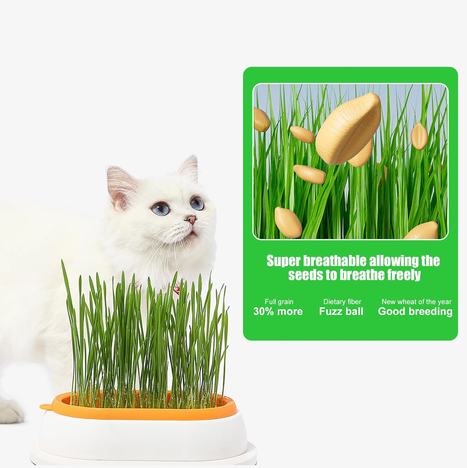 HOMURY Cat Grass Tray Growth Set: Plastic Comfortable Cat Grass Case, 2 Pieces Hydroponic Cat Grass Box with 6 Bag Seed, Cat Grass Germination Tray for Cat Dogs Pets image number 1