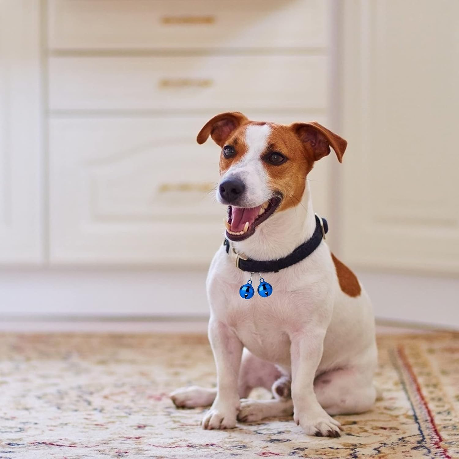 10 Pcs Cat Dog Collar Bells, Jingle Bell for Cat Collar,Dog Collar Charms,Colourful Pet Small Bells with Clasps Collar Accessories,Festival Party DIY Crafts Decoration image number 2