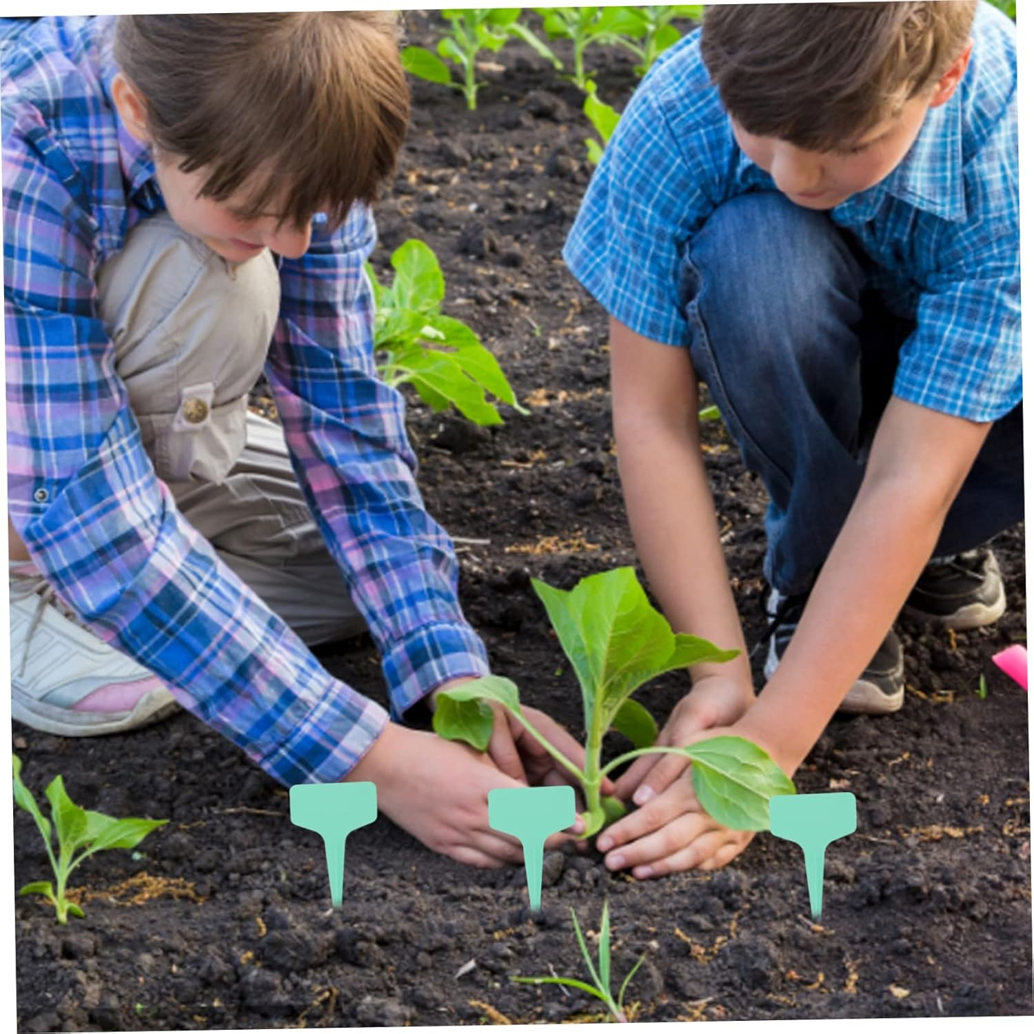 Kisangel 3 Sets Plant Wire Ties for Plants Fixing Belts Flower Label Gardening Tool for Outdoor Garden Use image number 1