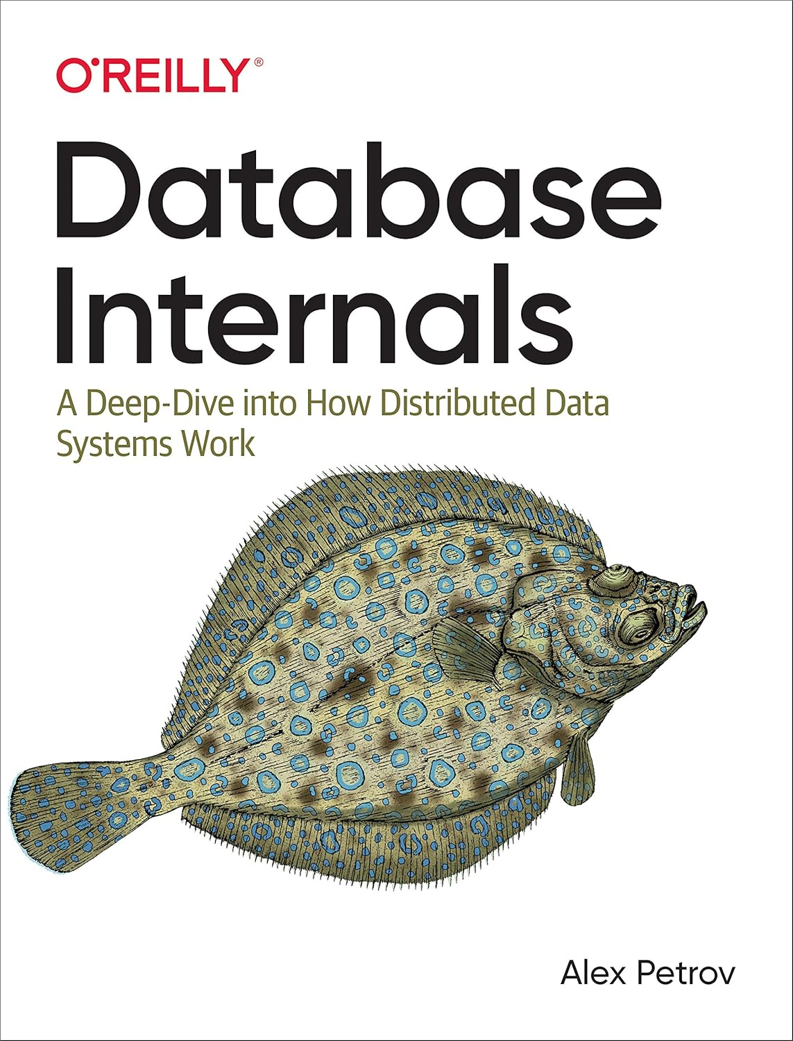 Database Internals: a Deep-Dive into How Distributed Data Systems Work