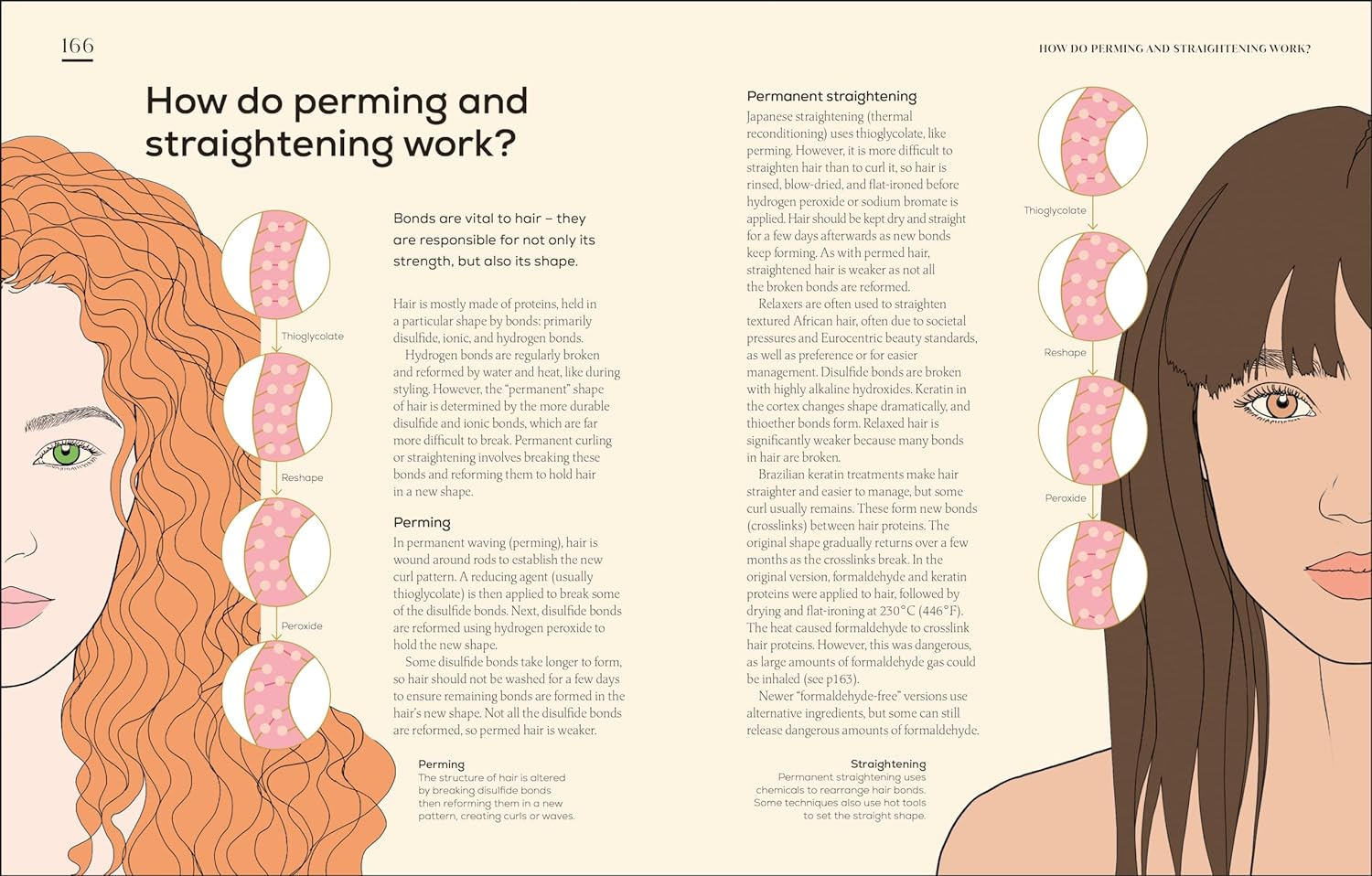 The Science of Beauty: Debunk the Myths and Discover What Goes into Your Beauty Routine