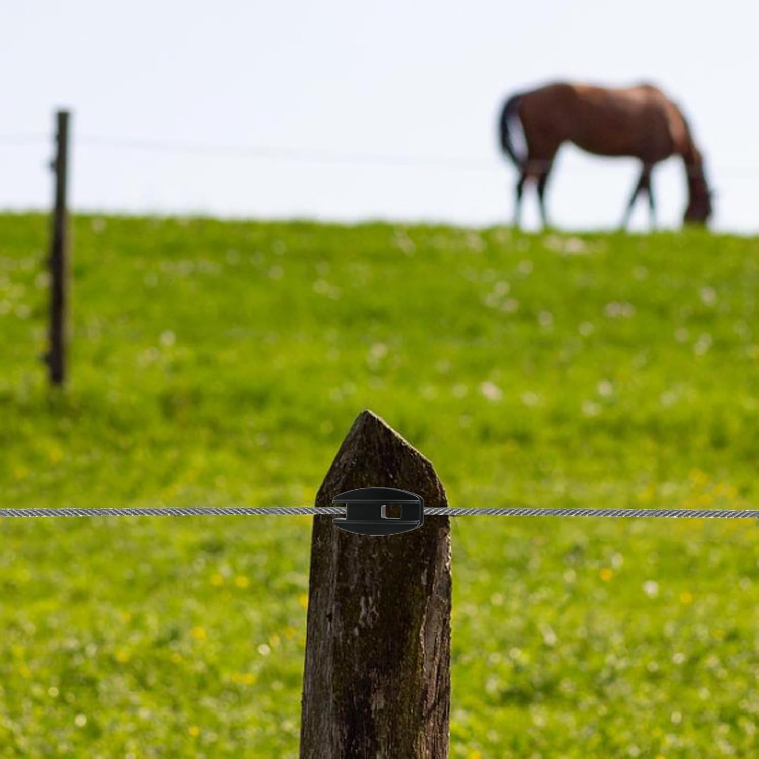 20 Pcs Bull Nose End Insulator for Electric Fence - AU Standard Durable Plastic Livestock Fencing Insulators, Electric Fence Post Insulators for Secure & Weatherproof Installation (Black) image number 3