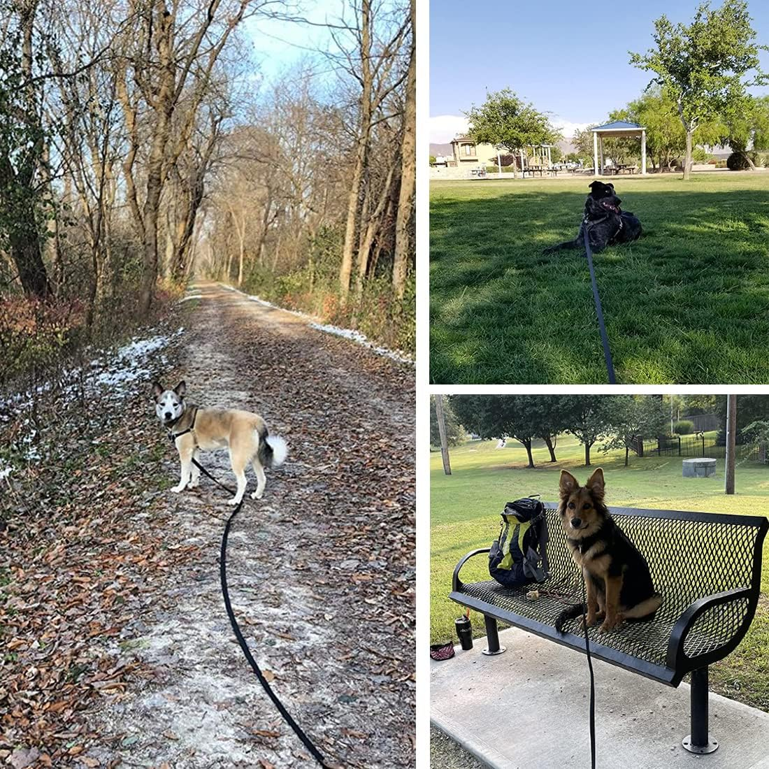 Medium Dog Leads 30M, Training Lead for Dogs with Padded Handle, Extra Long Line 30M Long Dog Leash for Recall Training, Tracking Leash for Dogs, Ideal for Yard, Lawn, Park, Beach, Obedience image number 6