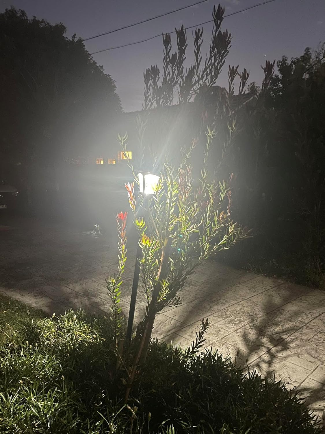 Yarratwo 174Cm Solar Lamp Post Lights Outdoor up to 220 Lumens for Garden, Lawn, Pathway, Driveway, Front/Back Door (2) image number 4