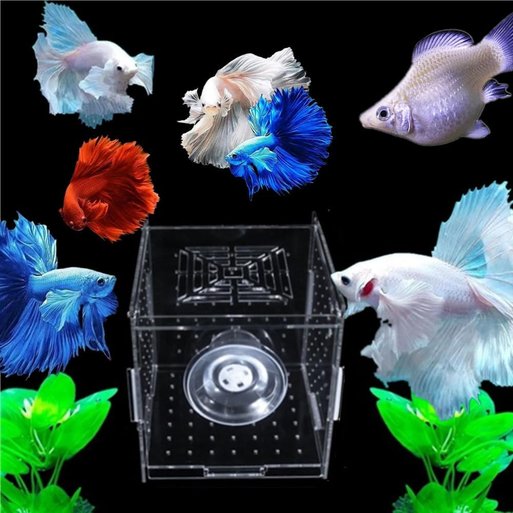 Fish Breeding Box, Wanfoou 2 Pcs Acrylic Fish Breeding Box, Transparent Acrylic Aquarium Isolation Box with Suction Cup, Hang-On Baby Fish Shrimp Hatchery for Aquarium Fish Tank image number 3
