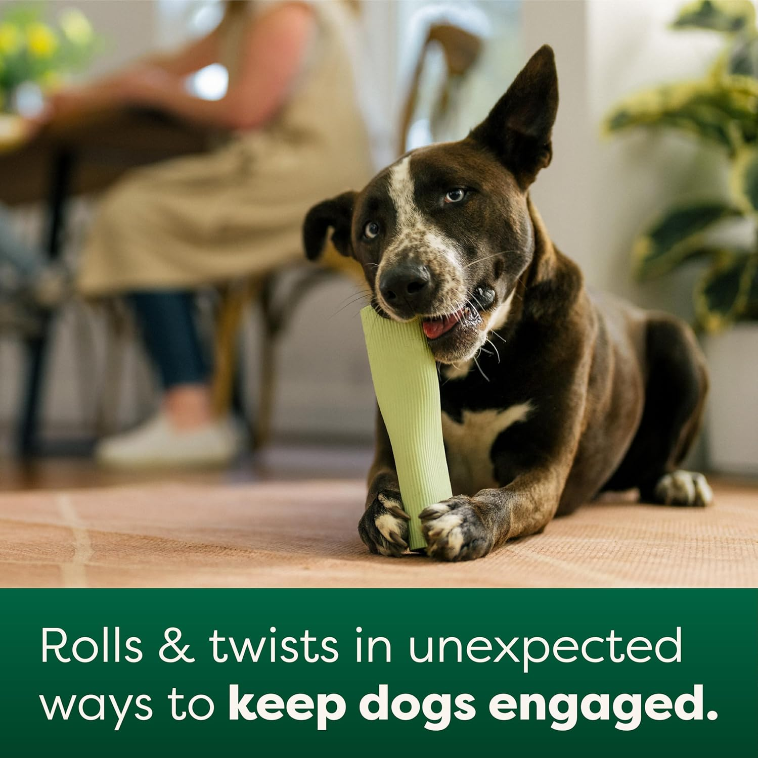 Earth Rated Dog Toy, Enrichment Toys for Adult and Puppy Dogs, Dishwasher and Freezer-Safe, Natural Rubber, Small, Green image number 3