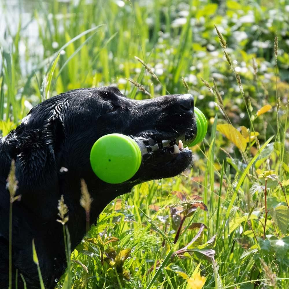Dog Comets Meteor Throwing Stick - Dog Toy - Bouncing - Rubber - L - 32 Cm - Green/Black image number 2