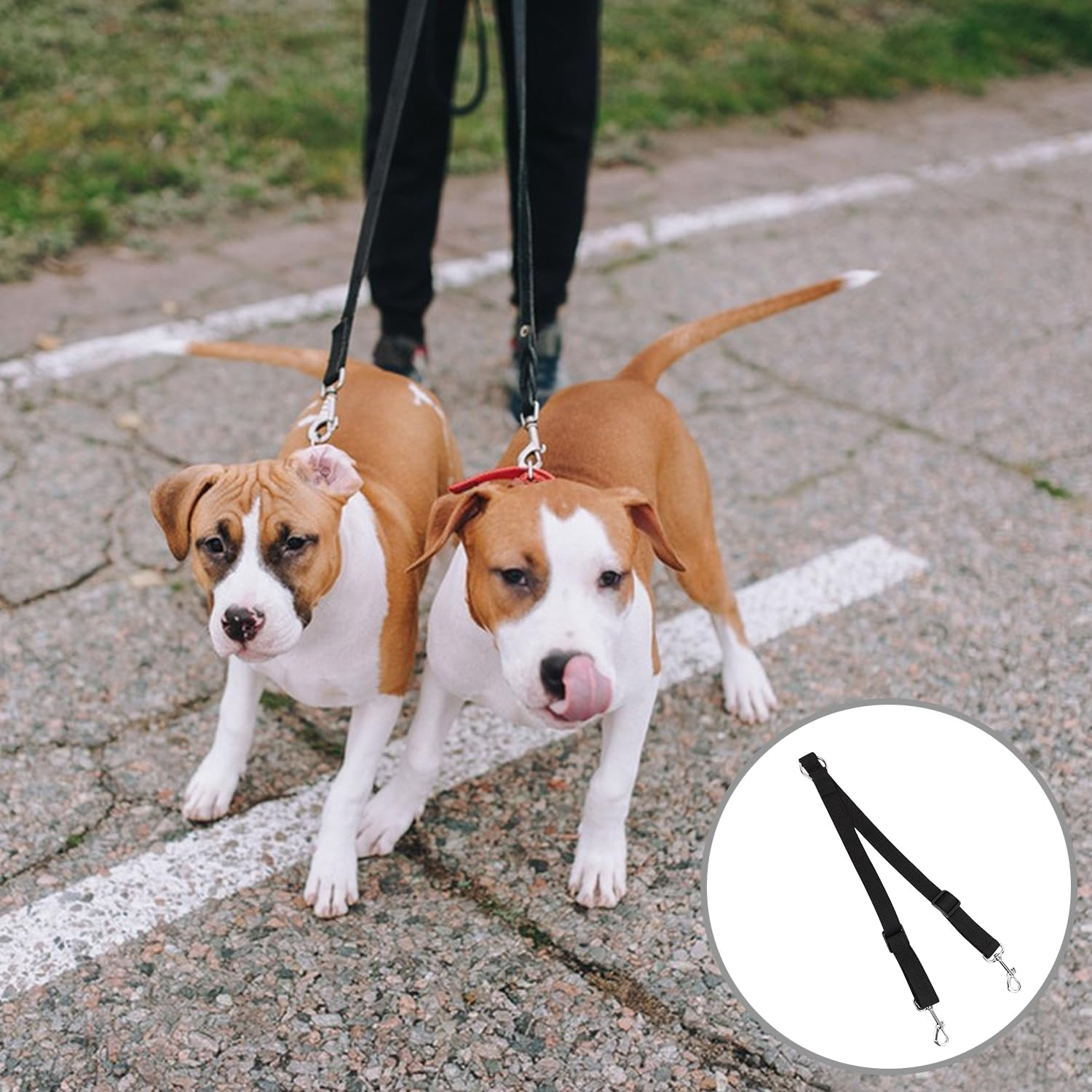 Double Dog Lead, Double Ended Lead for Dogs, Adjustable and Tangle-Free, Durable Nylon, Reflective Stitching for Night Safety, Dual Dog Leash for Walking Two Dogs, Comfortable Grip, Training Lead image number 6