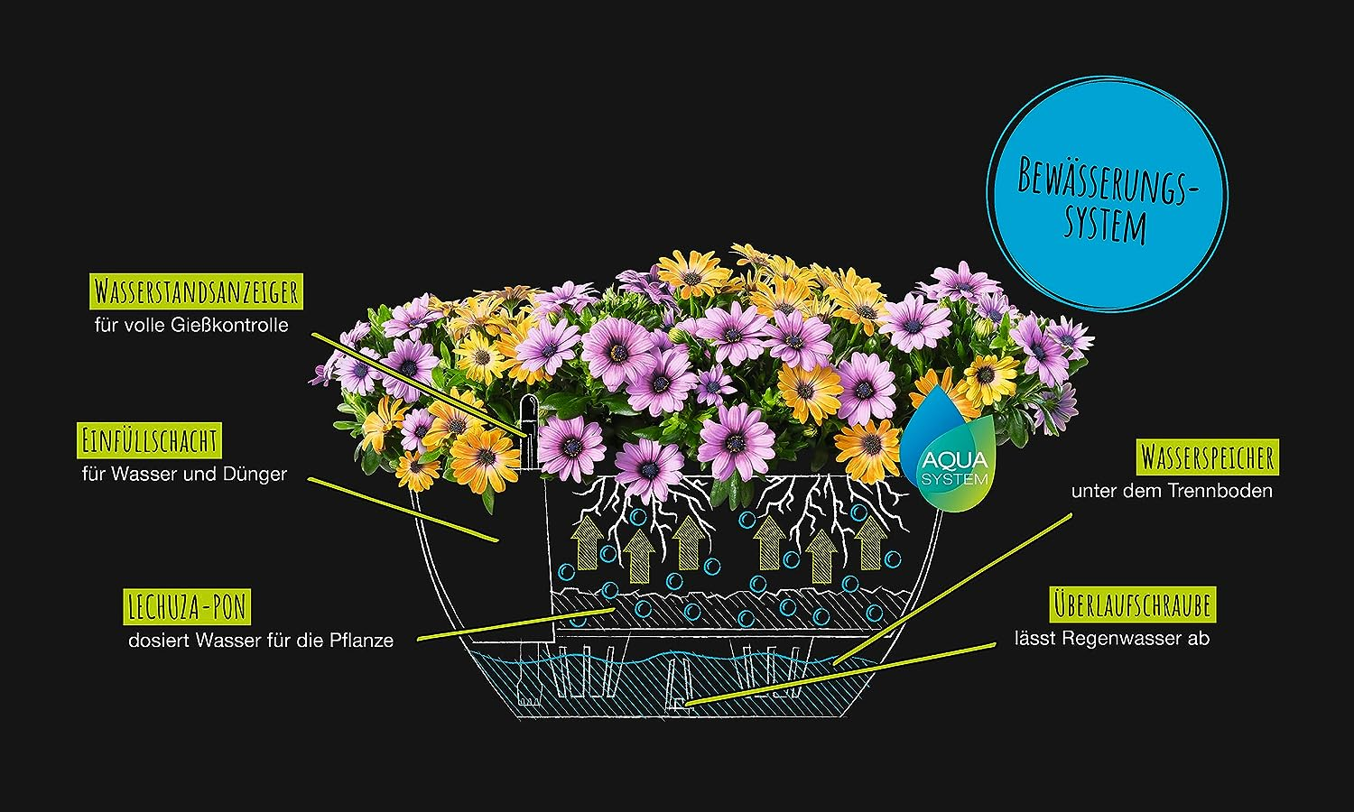 Lechuza Cubeto Color 30 All-In-One Bowl Shape Planter, Black image number 1