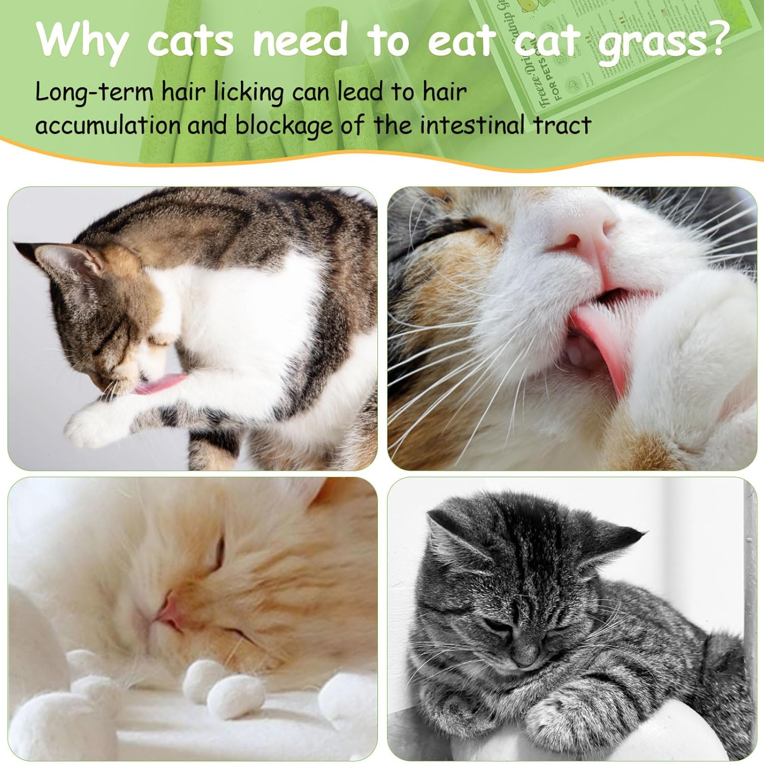 Cat Grass Stick Treats for Cat, 100G Freezed Drying Snacks for Cats, Edible Cats Chew Toys, Kitten Treats for Cleaning Teeth Remove Hair Ball image number 6