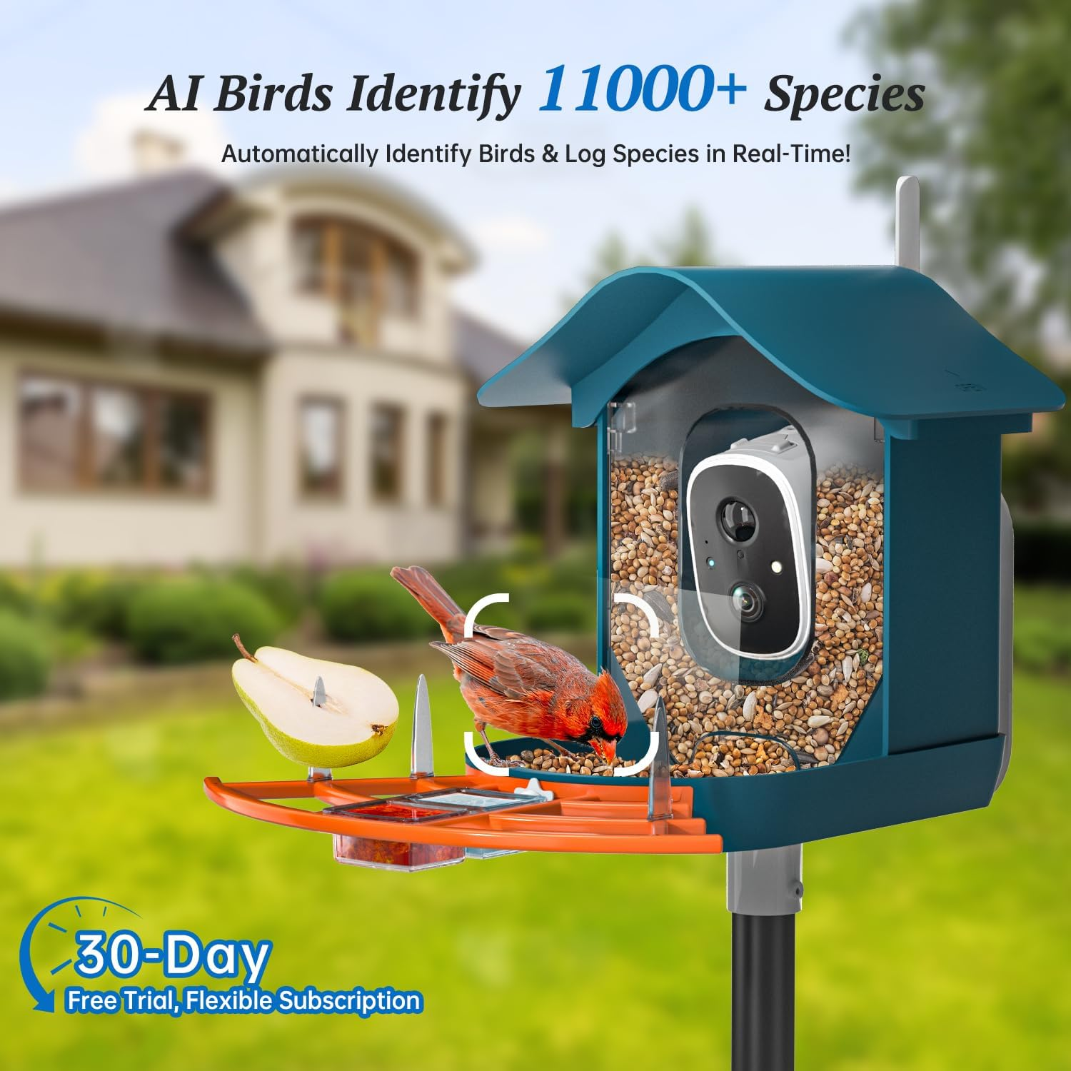 DOCOON Smart Bird Feeder with Camera, 2K HD AI Identify Bi RDS Species, Bird Watching Camera with Solar Panel, Auto Capture Bi Rd Videos & Instant Notifications, Ideal Present for Bi Rd Lover - A-Blue image number 3