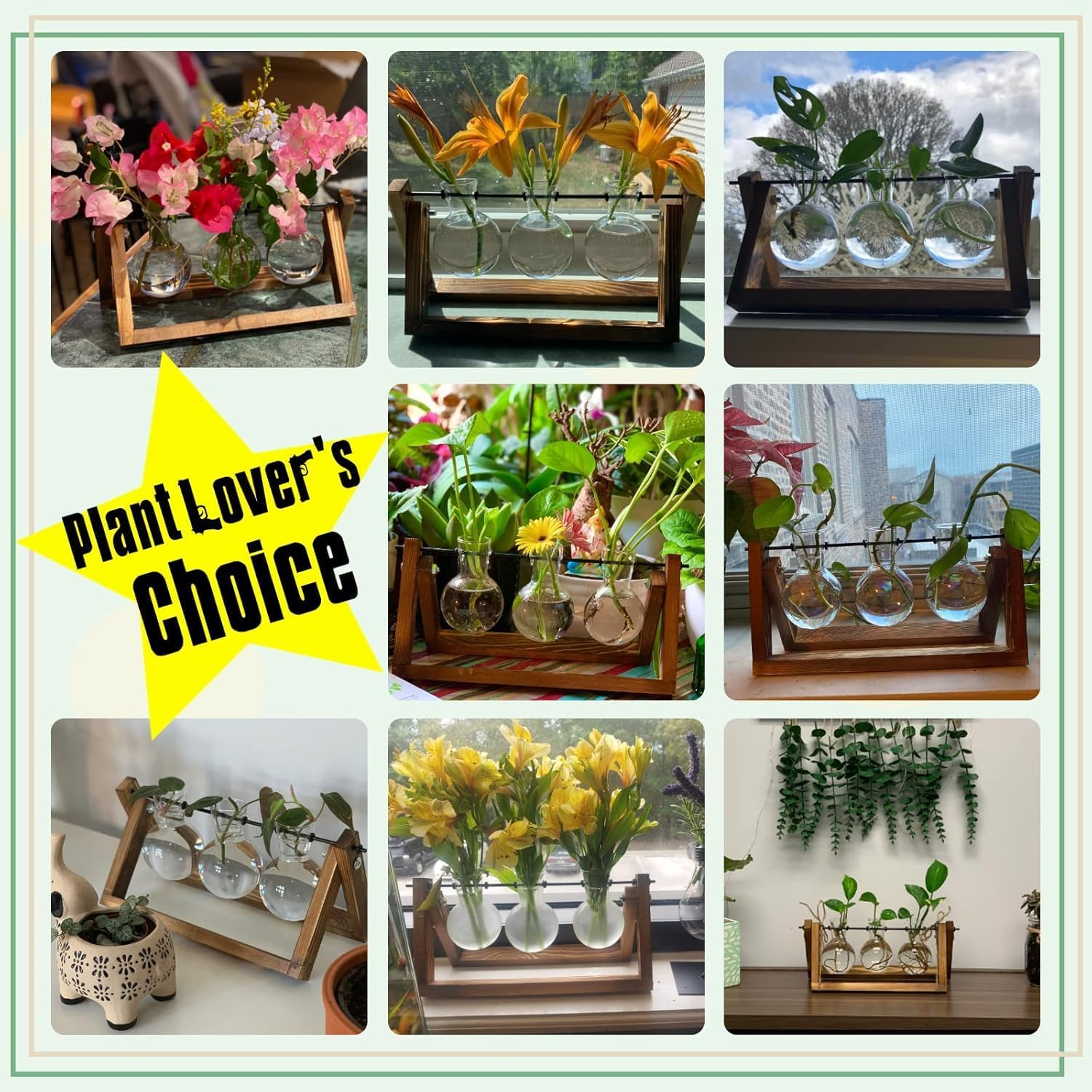 Plant Terrarium with Wooden Stand, 3 Bulb Vase Air Planter Bulb Glass Vase Metal Swivel Holder Retro Tabletop for Hydroponics Home Garden Office Decoration image number 6