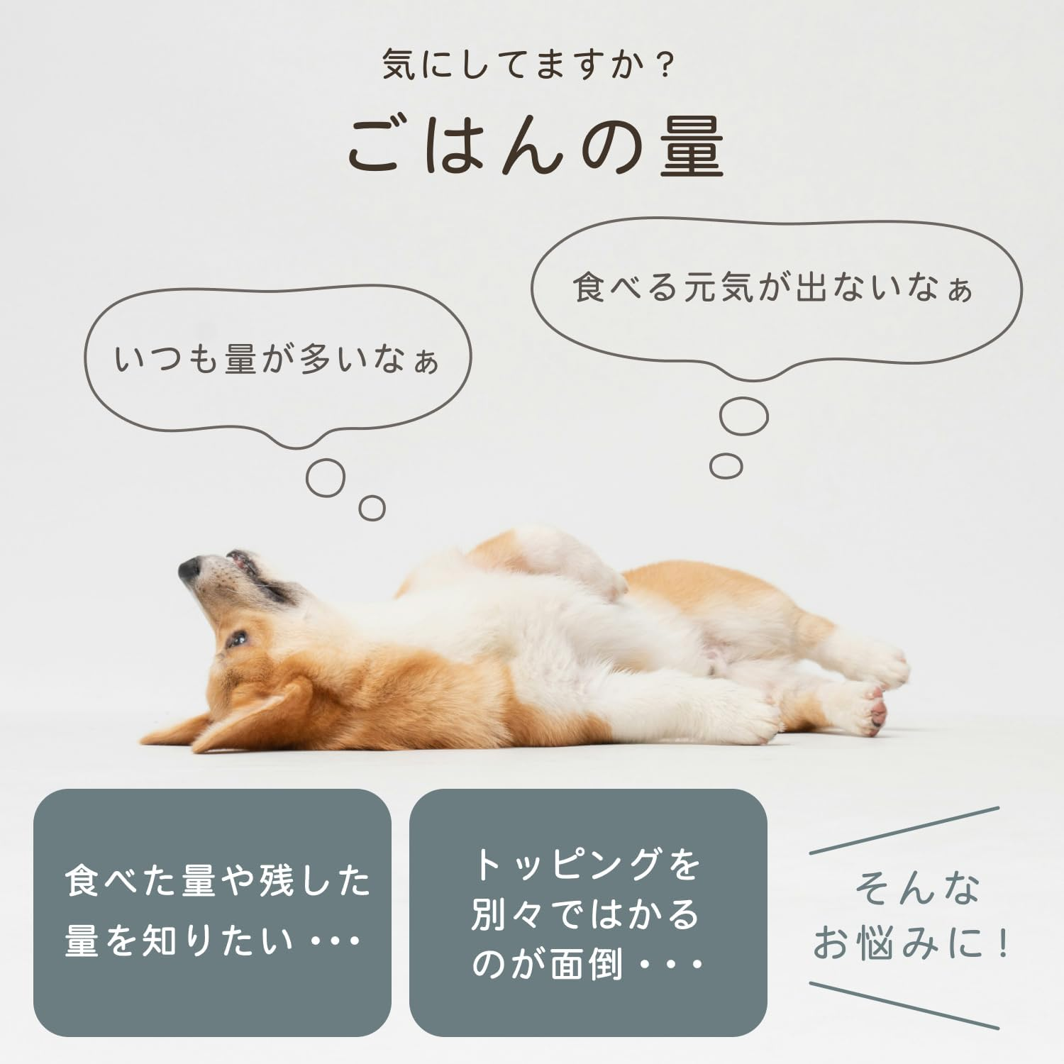 Dretec Food Bowl, Pet Food Scale, Dogs, Cats, Tableware, Digital Scale, Measurable, Backlight, Pets, Bait, Bowl, Slant, Anti-Slip, Removable, Easy to Clean, Dishwasher Safe, Easy to Clean, Easy To image number 2