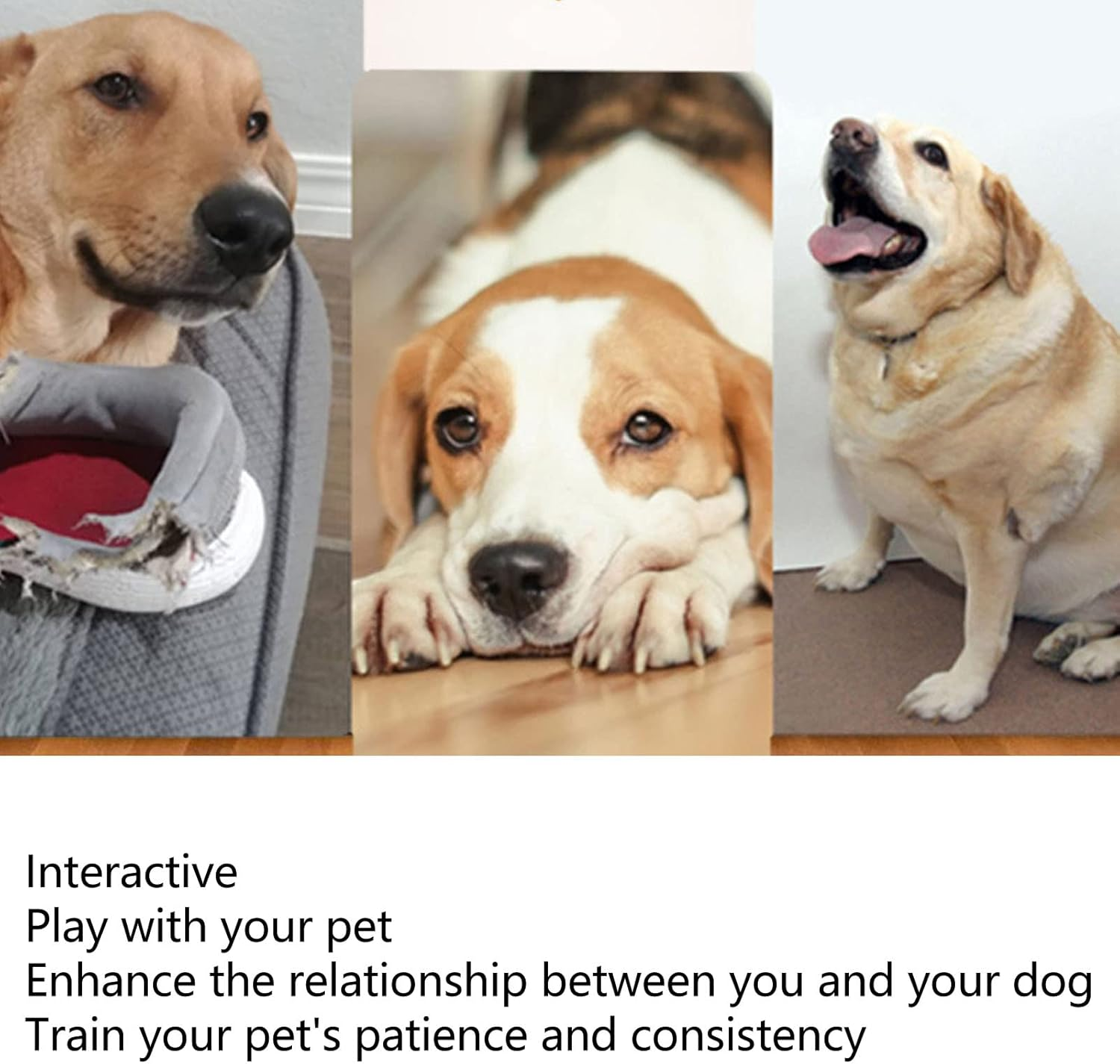 Automatic Dog Ball Launcher, Interactive Tennis Launcher Dog Toy, Rechargeable Pet Ball Throwing Machine for Small, Medium and Large Dogs image number 5