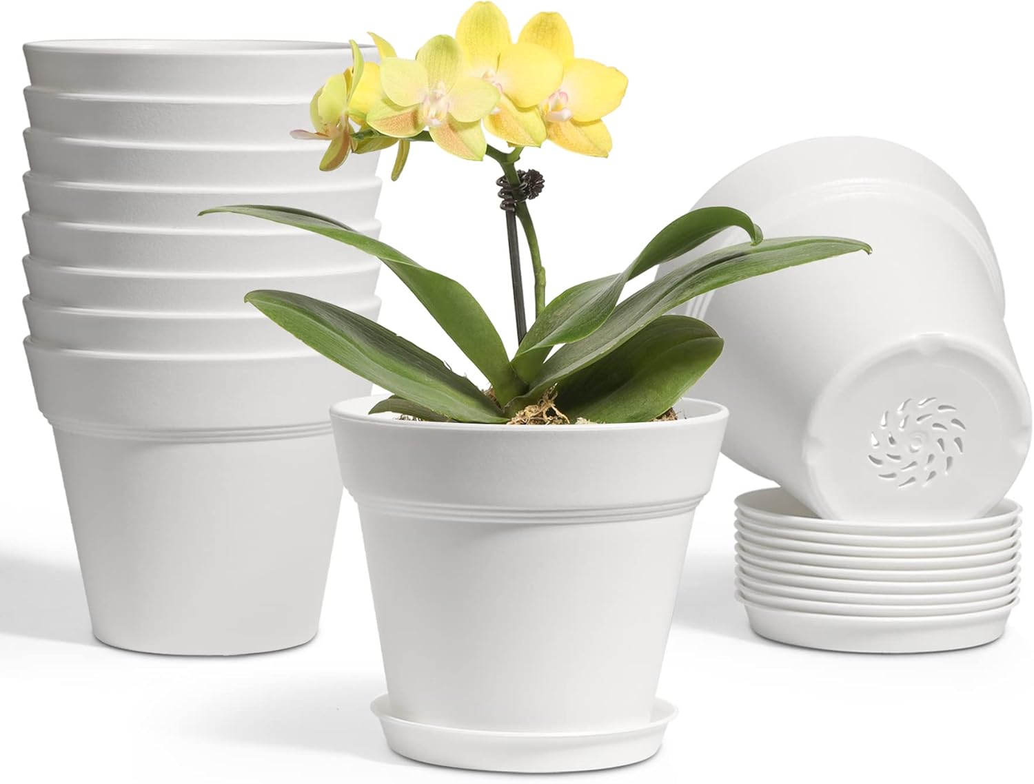 T4U 5 Inch Plastic Planters 18-Pack - Small Plant Pot with Drainage Hole and Saucer, Decorative Nursery Flower Pot Bulk for African Violet, Snake Plant, Aloe and All House Plants Indoor (White)