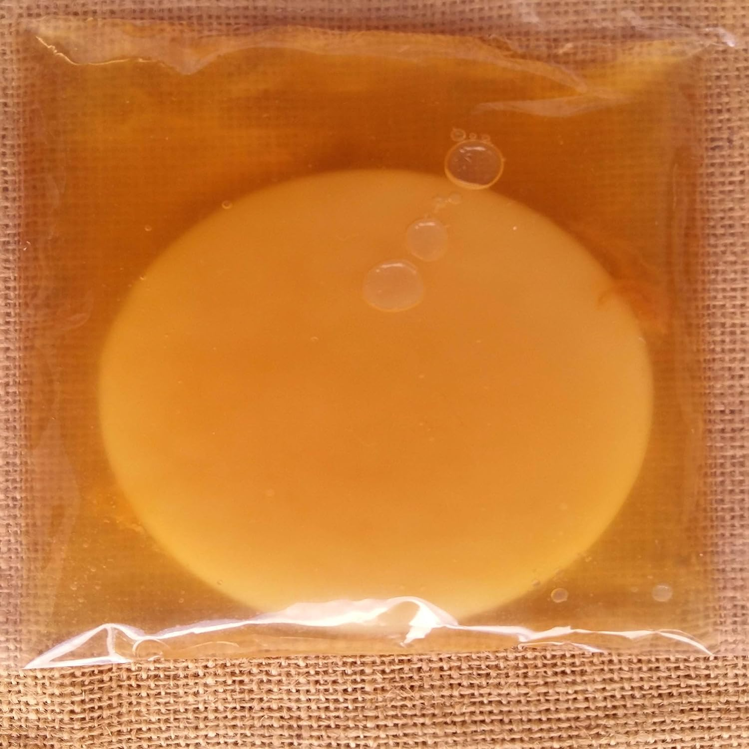 Kombucha Scoby with 200Ml of Starter Liquid and Easy Instructions. image number 1