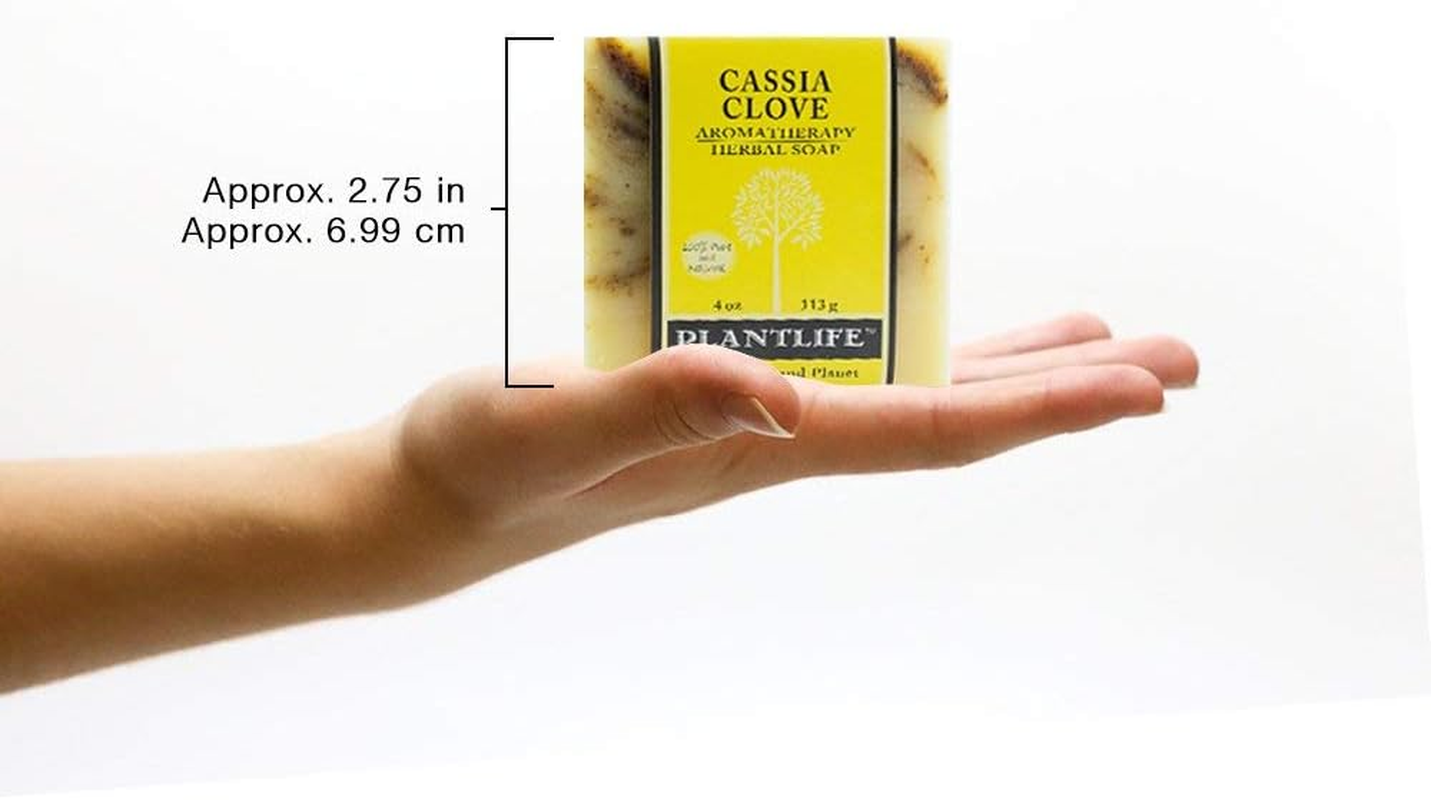 Cassia Clove 100% Pure & Natural Aromatherapy Herbal Soap- 120Ml (113G) image number 1