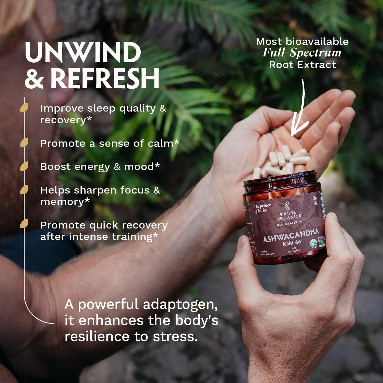 KSM-66 Organic Ashwagandha Capsules, Pure Root Powder Extract - 120 Vegetarian Vcaps - Highest Potency 5% Withanolides - Stress & Anxiety Relief, Cortisol Manager, Adrenal Support, Thyroid Support image number 1