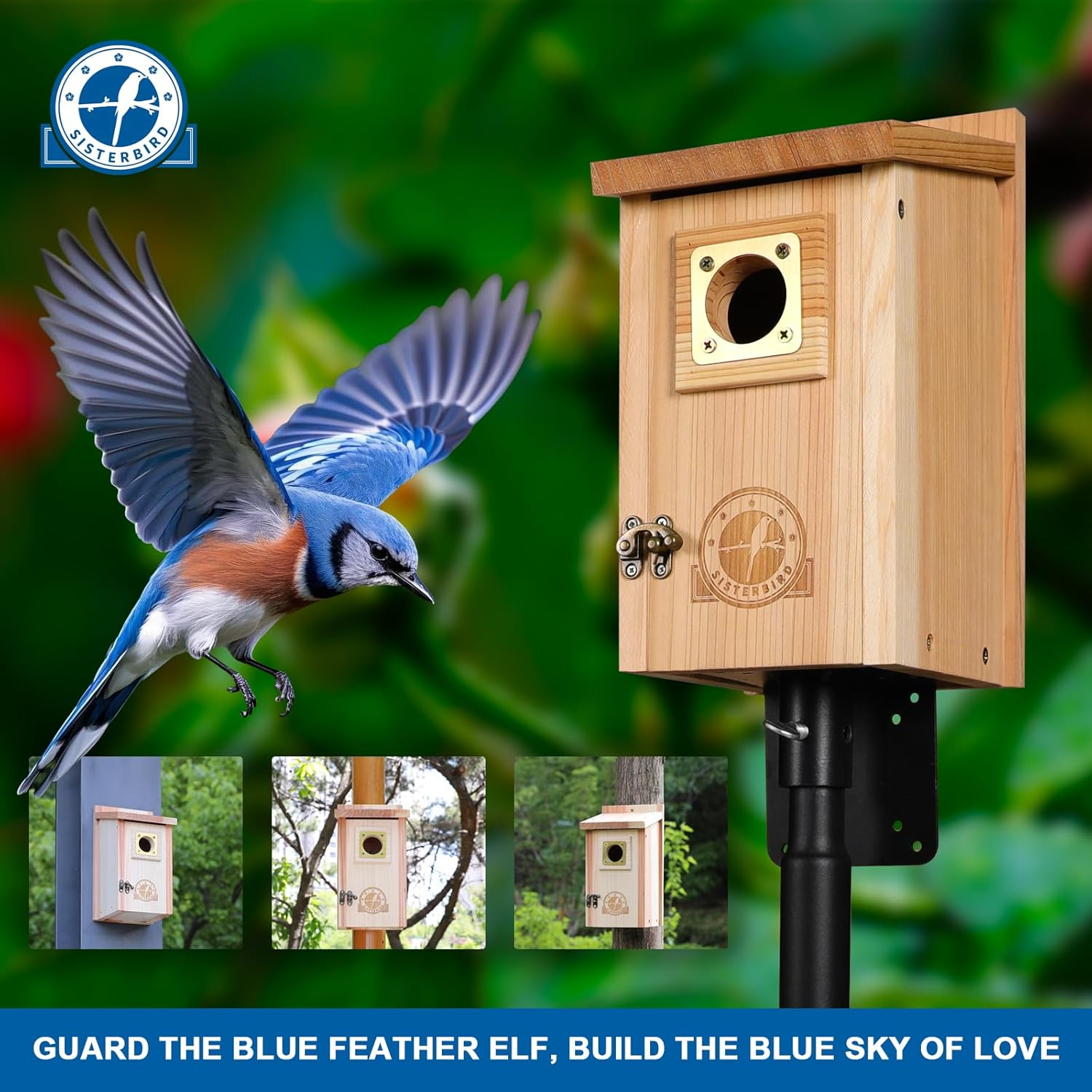 Bird Houses for outside Clearance with Copper Guard, Cedar Bird House Outdoor, Bluebird Finch Swallow Wren Chickadee image number 4