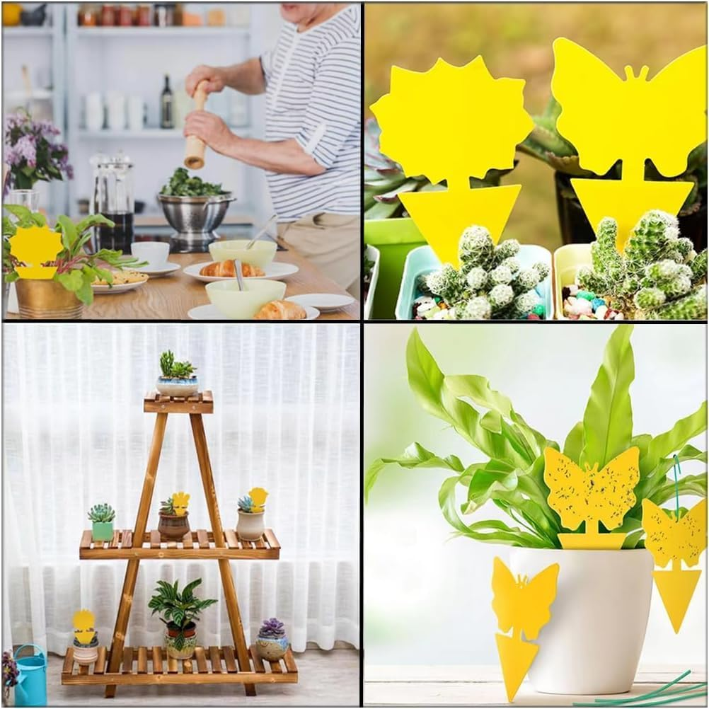 Sticky Fly Traps,Plant Fly Stickers,Caasfooy 100Pcs Flying Insects Traps,Sticky Bug Traps Fungus Traps for Plants Kitchen Indoor and Outdoor,Mosquitos, Dual-Sided Yellow Insect Catcher