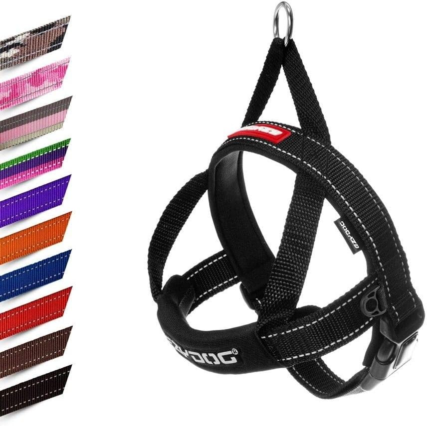 Ezydog Quick Fit Dog Harness - Easy to Fit Walking Harnesses for Small, Medium and Large Dogs - Neoprene Sleeve, Accessory D-Ring, Reflective (XS, Blue)