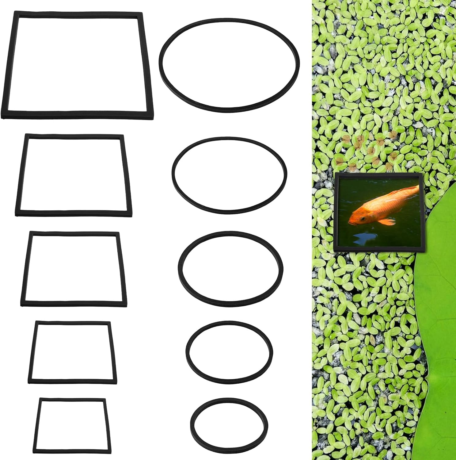 10 PCS Fish Feeding Rings, Aquarium Floating Plant Corral round & Square Aquarium Plant Holder Fish Toys Turtle Betta Fish Tank Accessories Reduces Automatic Fish Feeder Waste, Maintains Water Quality image number 3