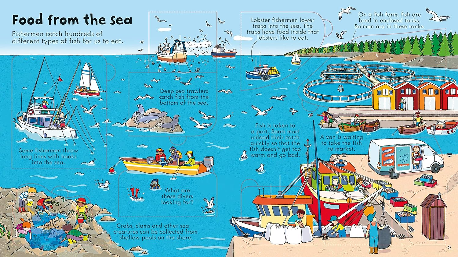 Look inside Food image number 4