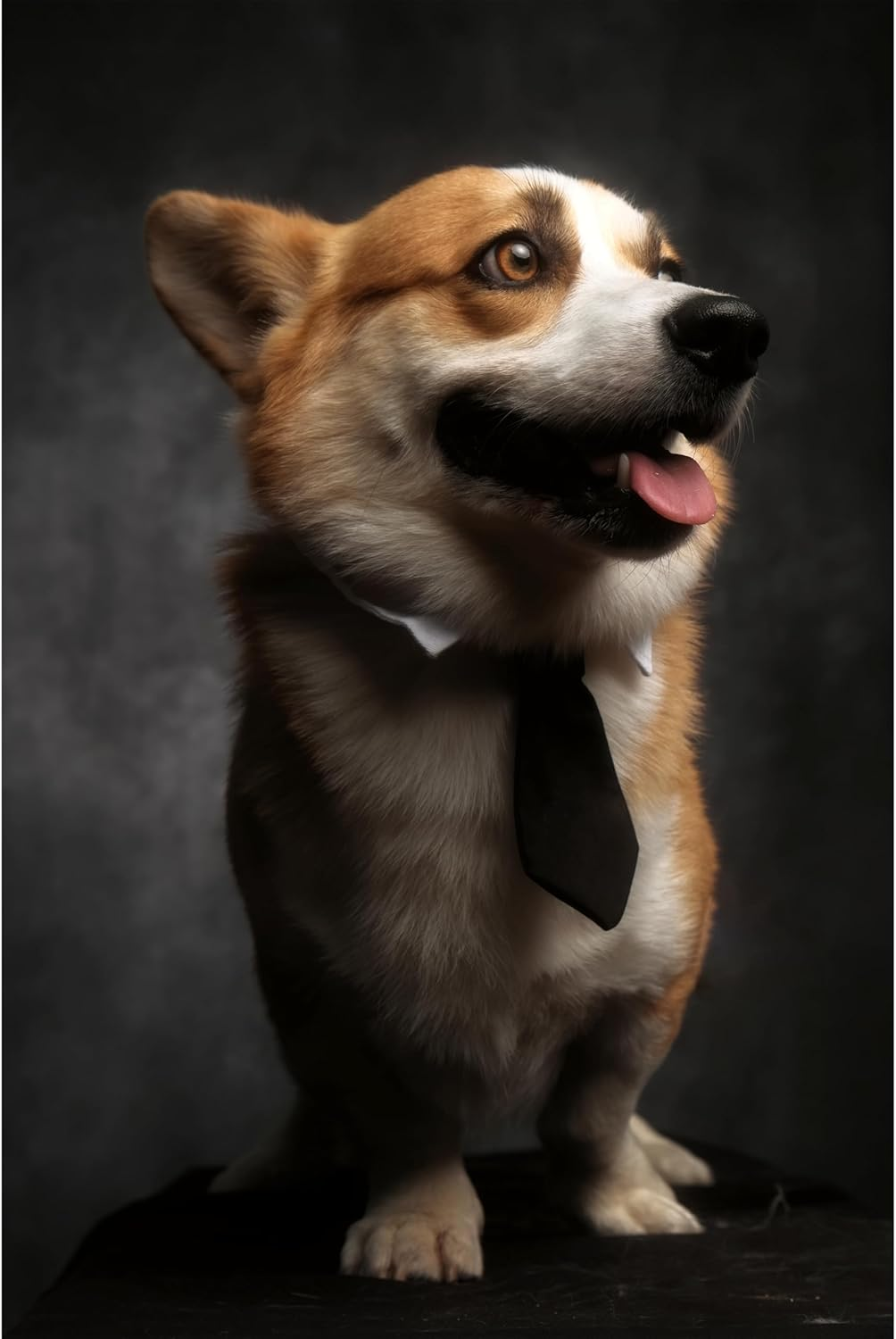 Urctepics 8X10Ft Professional Dark Gray Portrait Backdrop Abstract Textured Backdrops for Photography Vintage Headshot Background image number 5