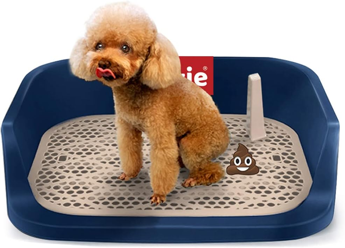 Dog Potty Toilet, Pet Indoor Outdoor Dog Training Toilet, Portable Potty Trainer, 20" X 16" Dogs Potty Training Pads Holder for Small and Medium Dogs (Black)