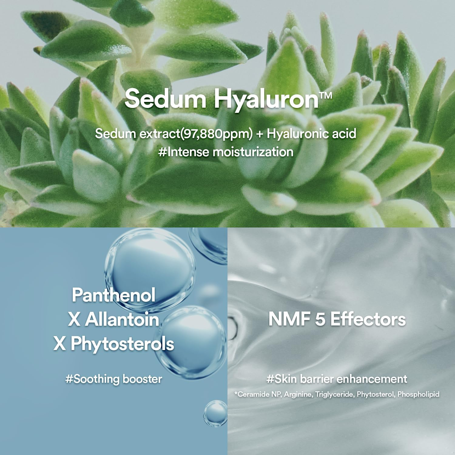 Abib Sedum Hyaluron Cr&egrave;me Hydrating Pot 80 Ml image number 3