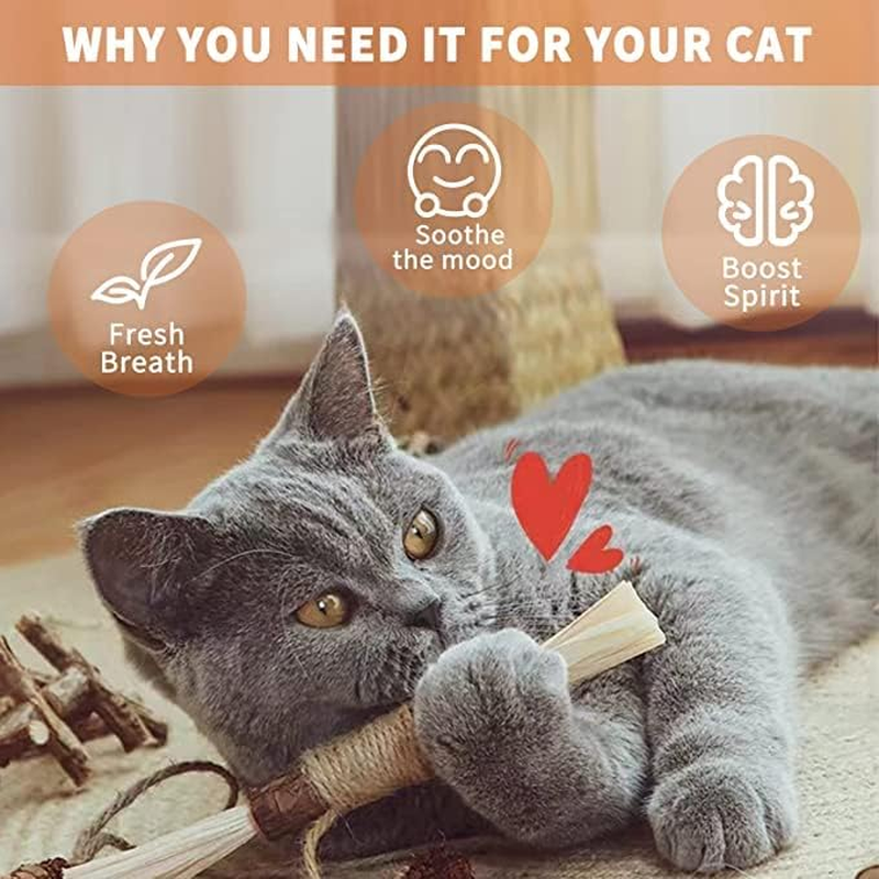 Catnip Toys 6 Pcs Silvervine Chew Stick Natural Silvervine Blend Sticks Cat Nips Interactive Kitten Dental Toy for Kittens Teeth Cleaning Indoor Cats image number 2