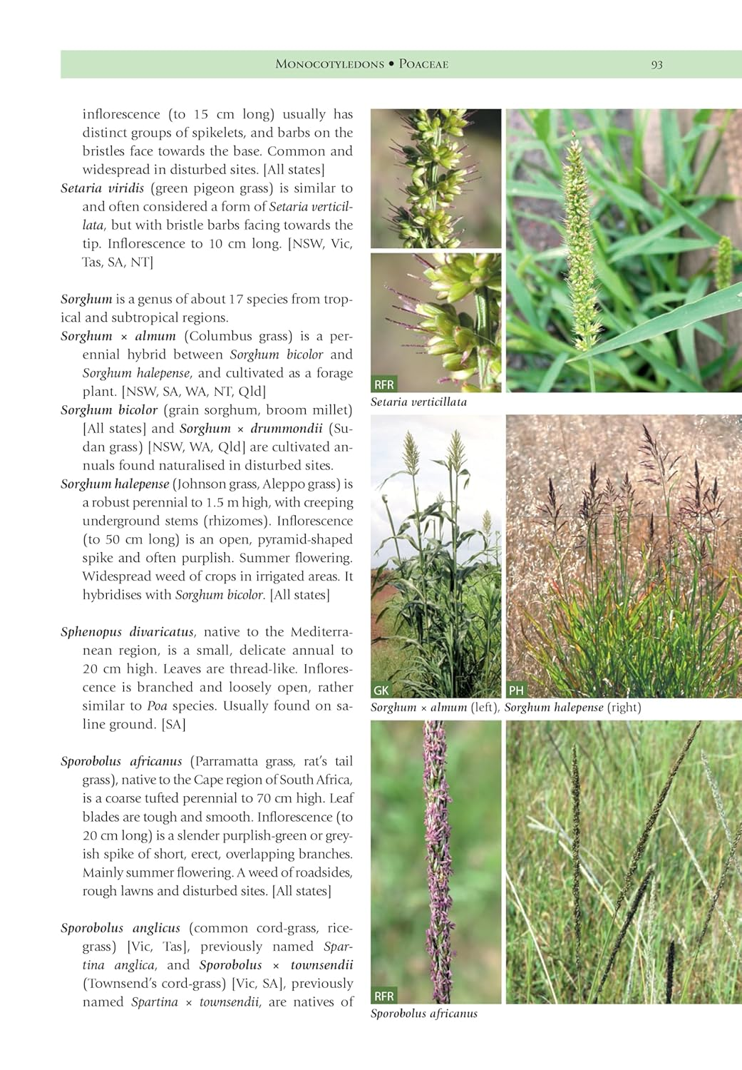 Weeds of the South-East: an Identification Guide for Australia image number 1