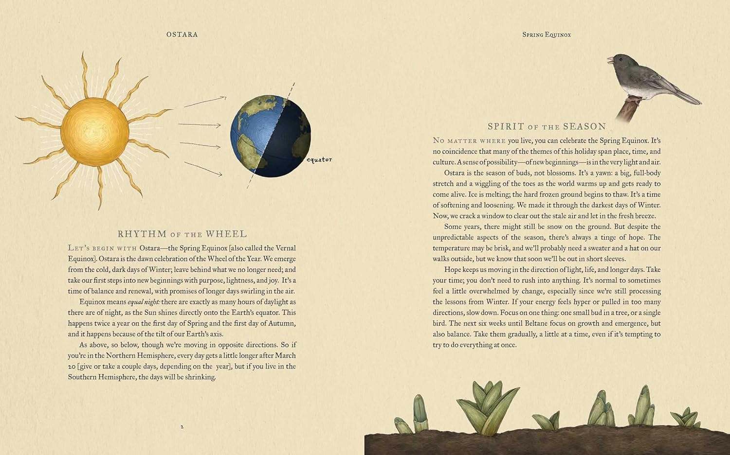 The Wheel of the Year: an Illustrated Guide to Nature'S Rhythms image number 5