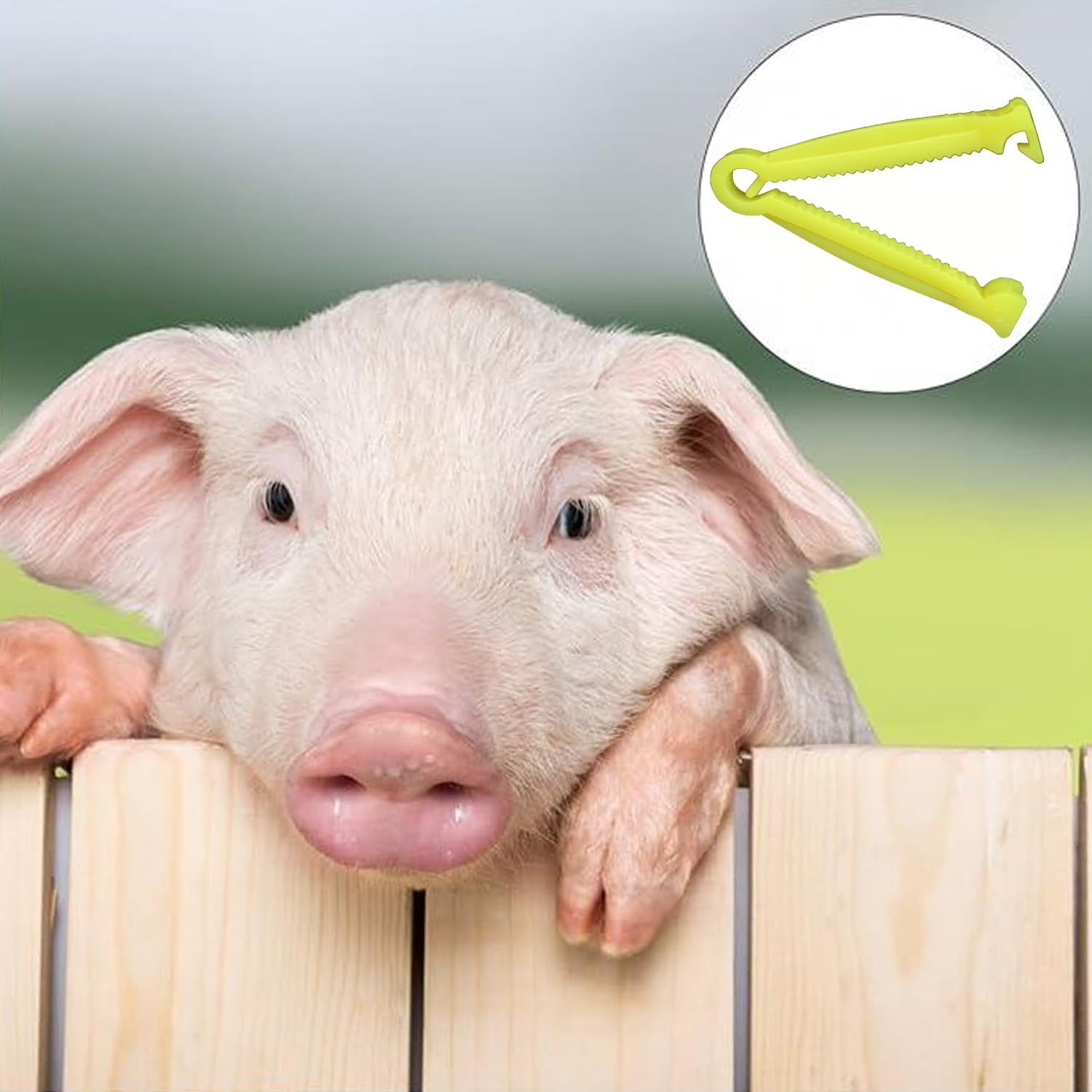 100Pcs Animal Umbilical Cord Clamps - Veterinary Grade Yellow Whelping Clips for Puppy/Piglet/Kitten/Livestock Birth Assistance, Farm Whelping Kit for Aussie Sheep/Cow/Dog Delivery image number 1