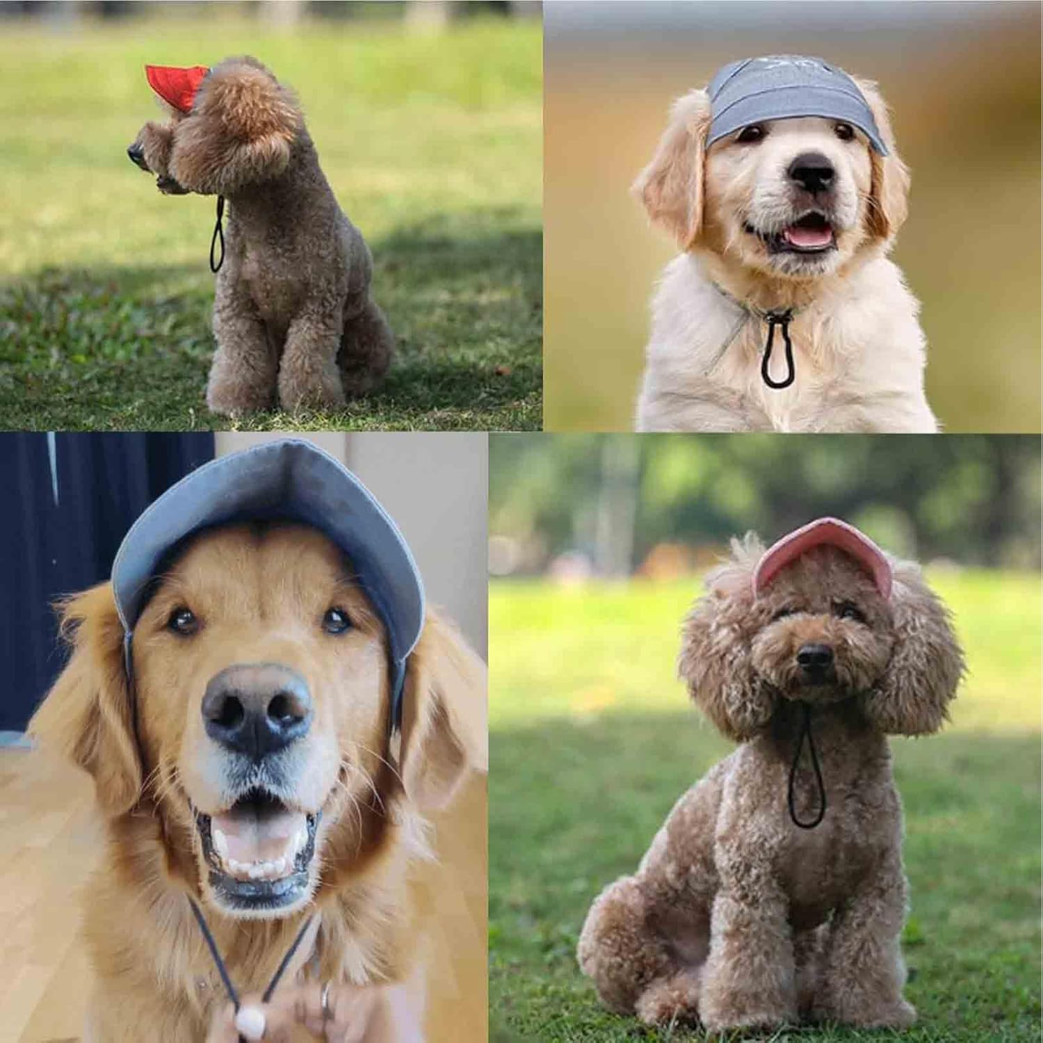 Outdoor Sun Protection Hood for Dogs, Dog Hat Canvas Dog Sun Hat Dog Baseball Cap, Dog Travel Sport Hat, Adjustable Pet Sunbonnet with Ear Holes (XL,I)