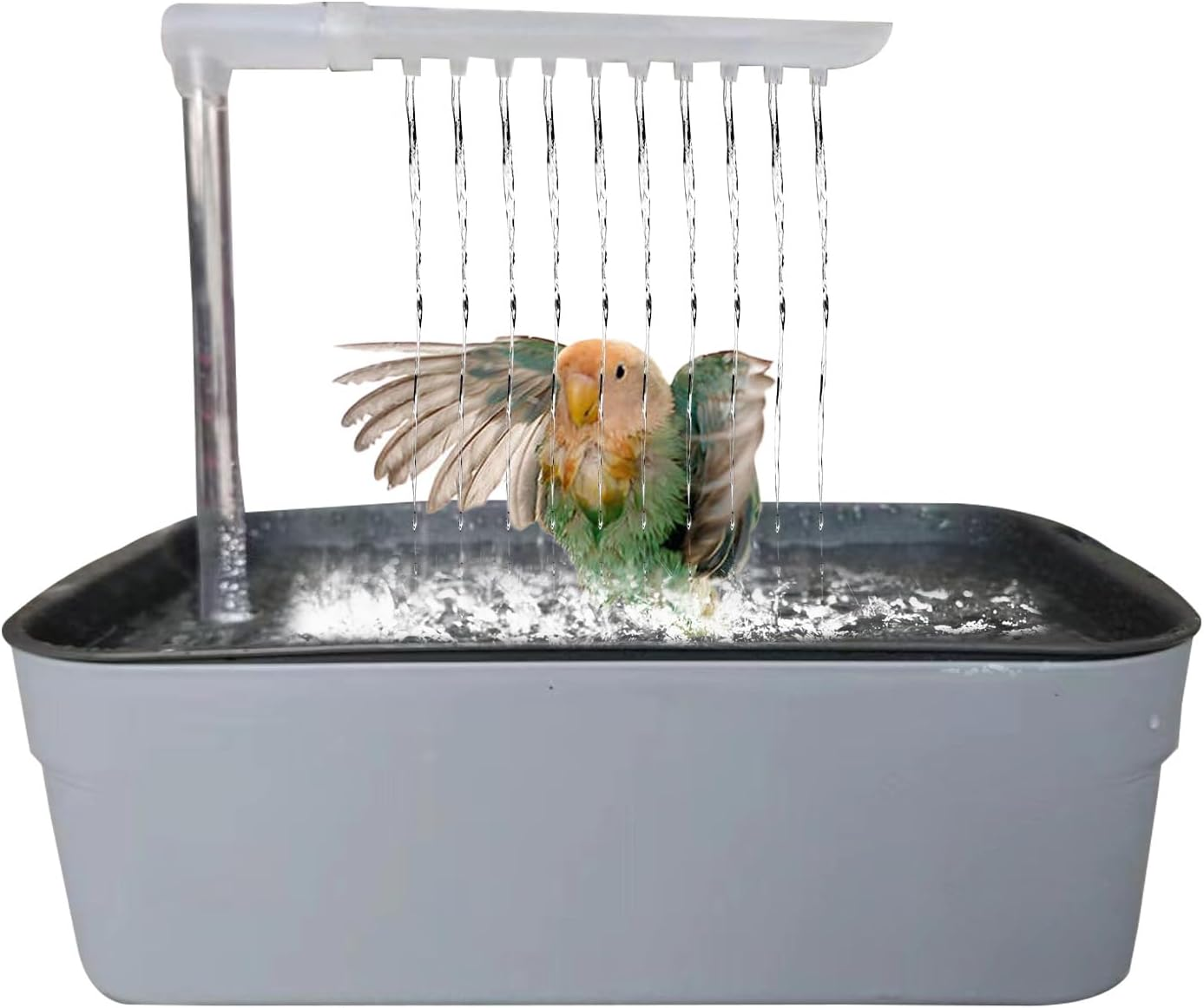 Parrot Bath - Easy to Asѕ Bird Shower Bath | Electric Parrot Bathtub | Automatic Pet Bird Shower | Parroț Bathing Artifact or Both Home Pets and Professional Breeding Environments
