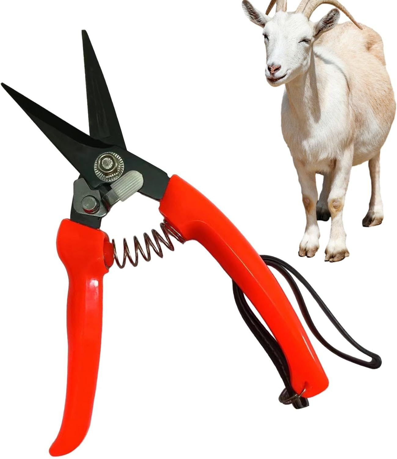 Goat Hoof Trimmer | Ergonomic Sheep Hoof Shears with Spring Load | Precision Nail Clippers for Alpaca, Lamb, Sheep, Hooves image number 5