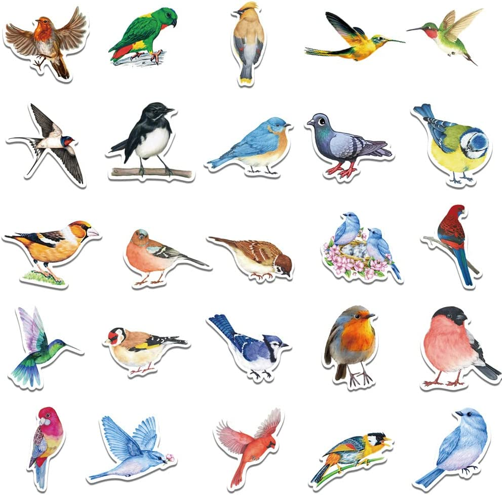 Colourful Bird Stickers 50 Pcs, Cartoon Birds Parrot Waterproof Vinyl Stickers for Laptop Phone Water Bottles Scrapbooking Journaling Guitar Skateboard DIY Decoration for Kids Teens image number 2