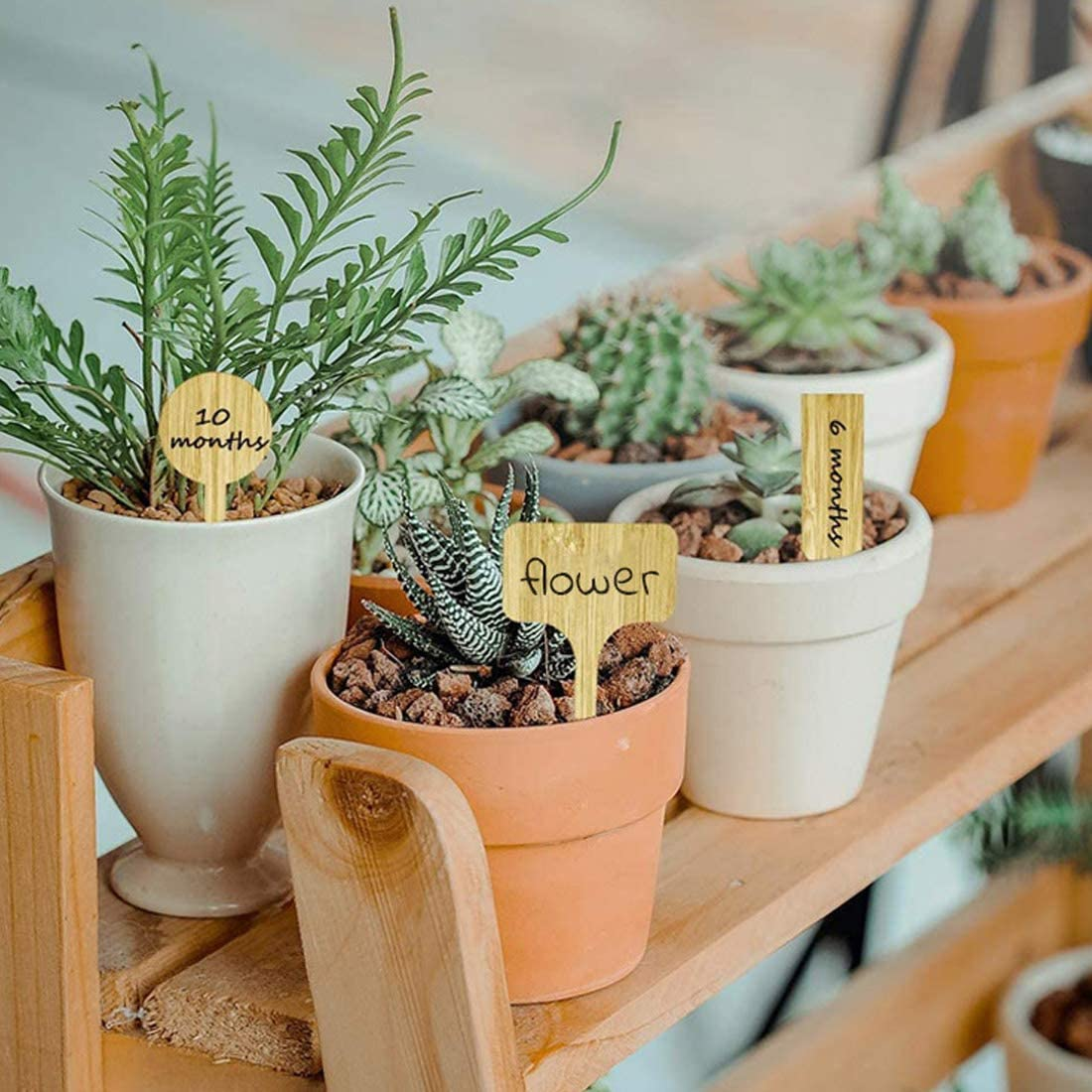 UTSAUTO 20PCS Bamboo Plant Labels Nursery Garden Labels Vegetable Garden Markers for Seed Potted Herbs Flowers Vegetables image number 4