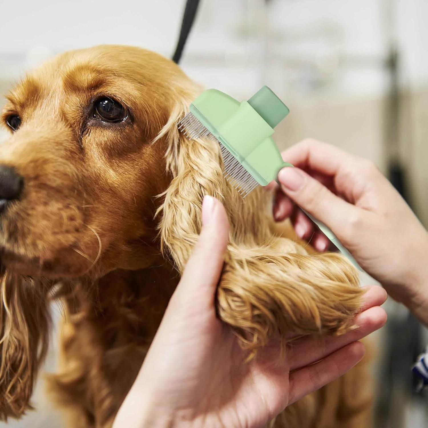 Fellblitz Cat Brush, Pack of 2 Fur Brushes, Self-Cleaning Comb with Release Button, for Long and Short Coat, Removes Knots & Loose Hair