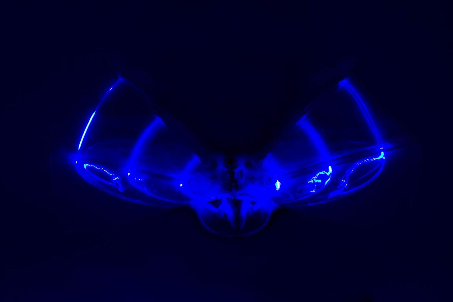 Duncan Duncan Dragon Hawk Light up Bird Toy image number 2