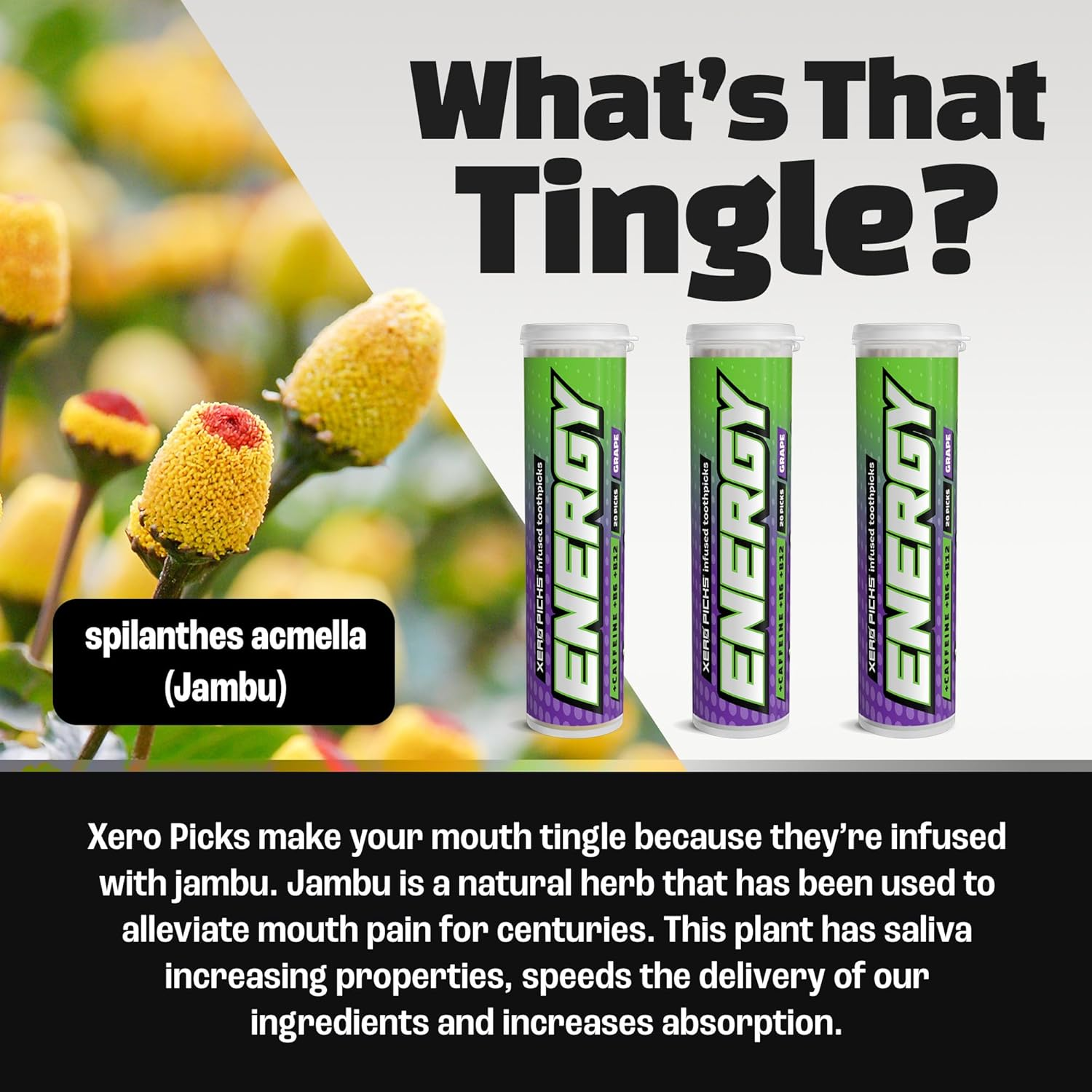 Xero Picks Energy Infused Flavored Toothpicks with Caffeine, B12 and B6-60 Picks (3 Pack) (Grape) image number 5