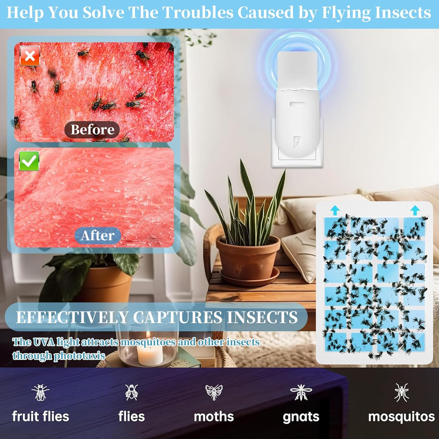 2 Flying Insect Trap Bases & 10 Sticky Glue Cards, Plug-In Fruit Fly Traps Effective for Gnats, Moths, Mosquitoes, Flies, Indoor Insect Trap with Night Light for Kitchen, Bathroom, Bedroom (Black) image number 4