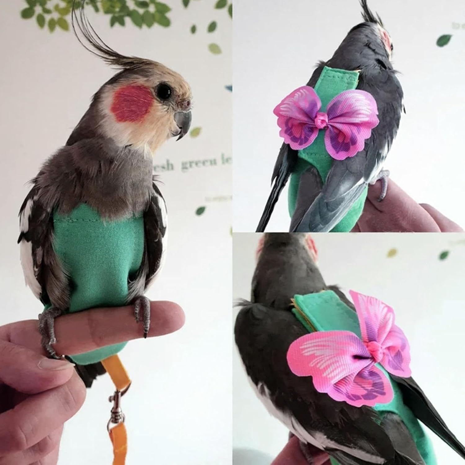 Bird Harness | Soft Bird Diapers Suite | Pigeon Pants for Small Medium Birds Parakeets Parrot Cockatiel, Bird Diapers for Parrots, Bird Clothes Pochy - M image number 2