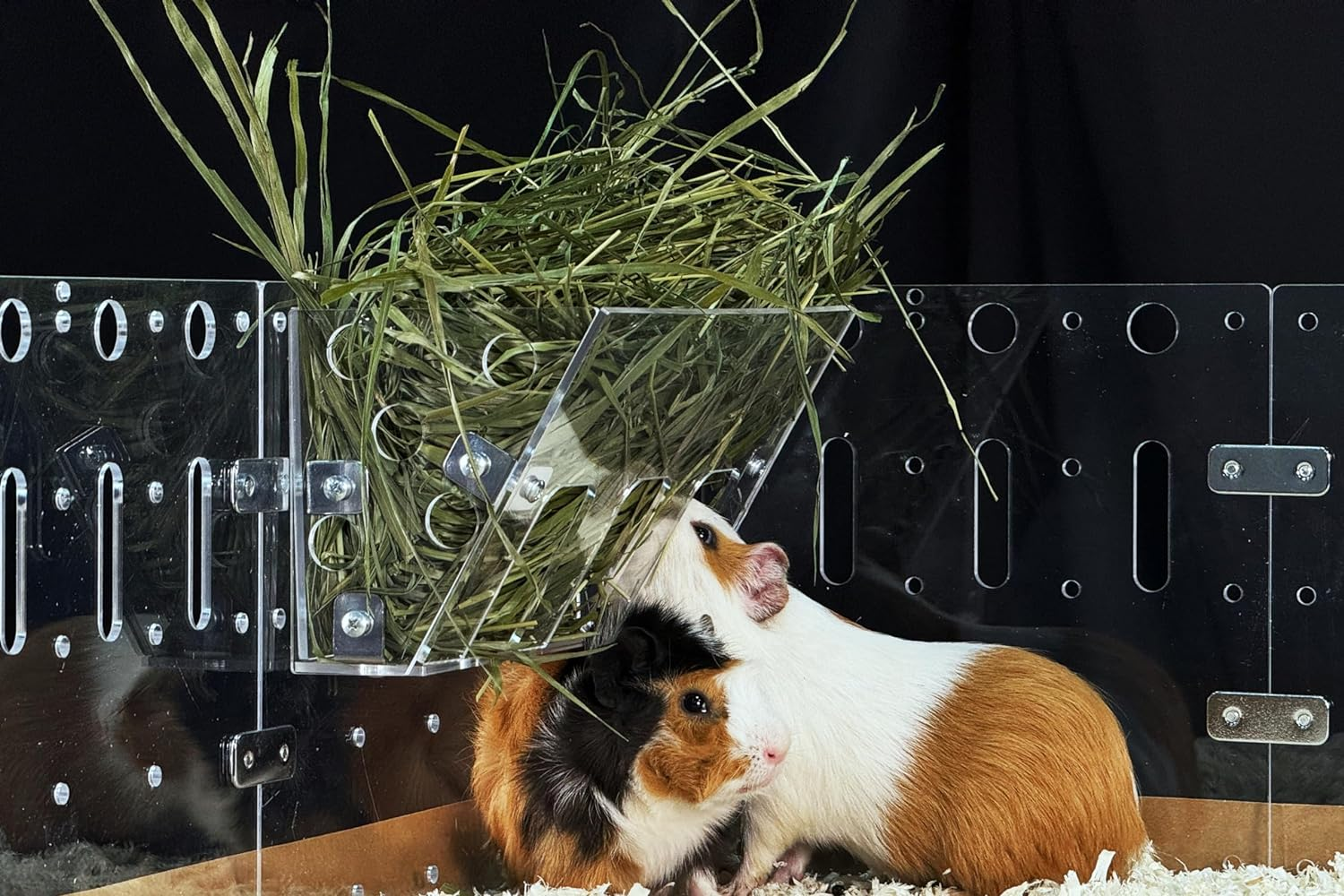 Guinealoft&trade; Hay Feeder (Yellow) - Ultimate Hay Feeder for Small Pets like Guinea Pigs, Rabbits & Chinchillas. Designed & Made by Seasoned Owners Who Tried Everything Out There - Guinealoft Exclusive image number 3