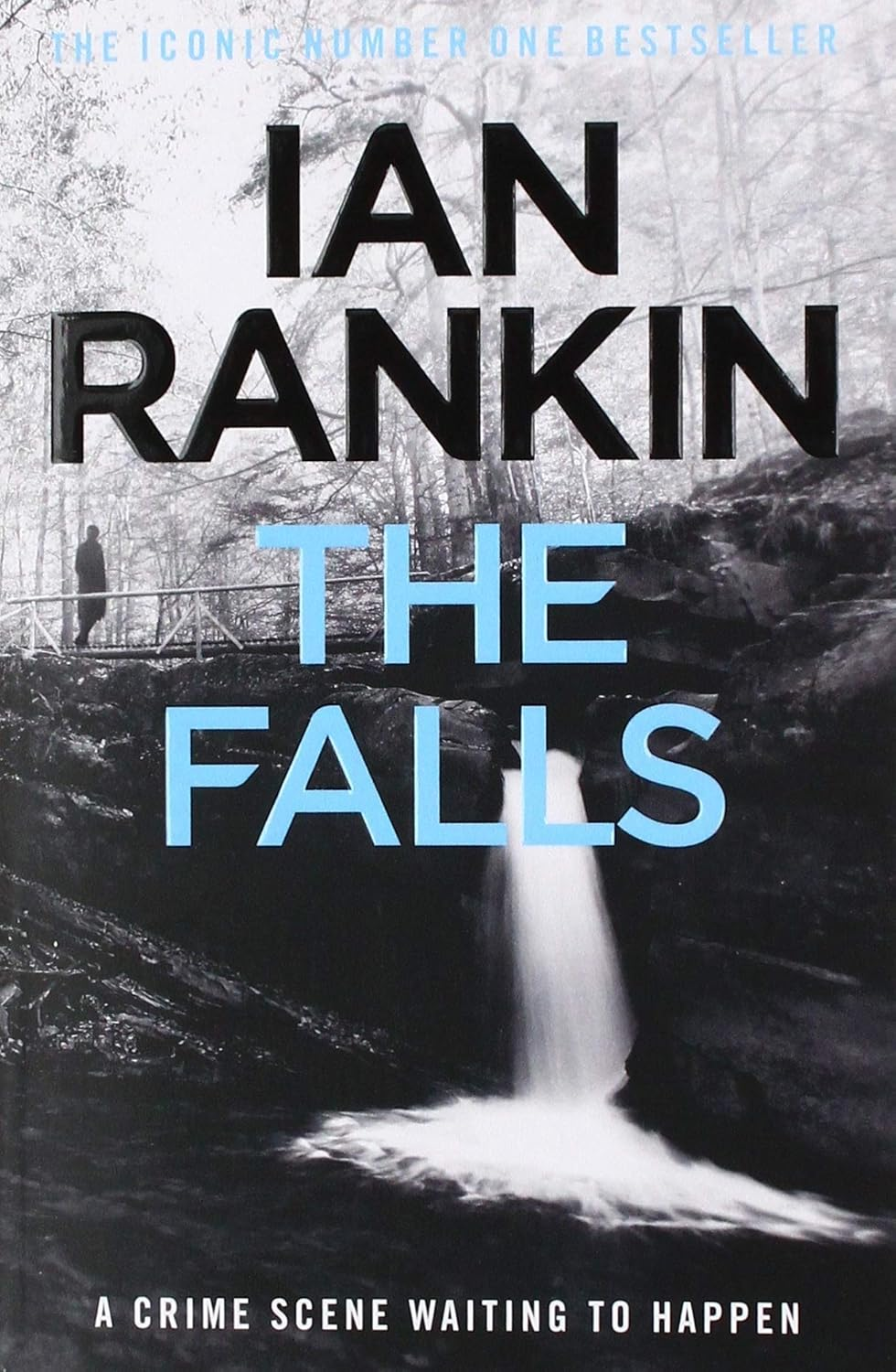 The Falls: the Number One Bestselling Series That Inspired BBC One S REBUS image number 2