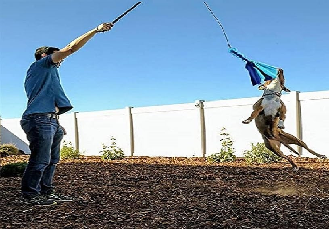 Dog Extendable Teaser Wand Pet Teasing Flirt Pole Interactive Toy （With 2 Cotton Chewing Rope） for Dog Outdoor Entertainment, Train and Exercise