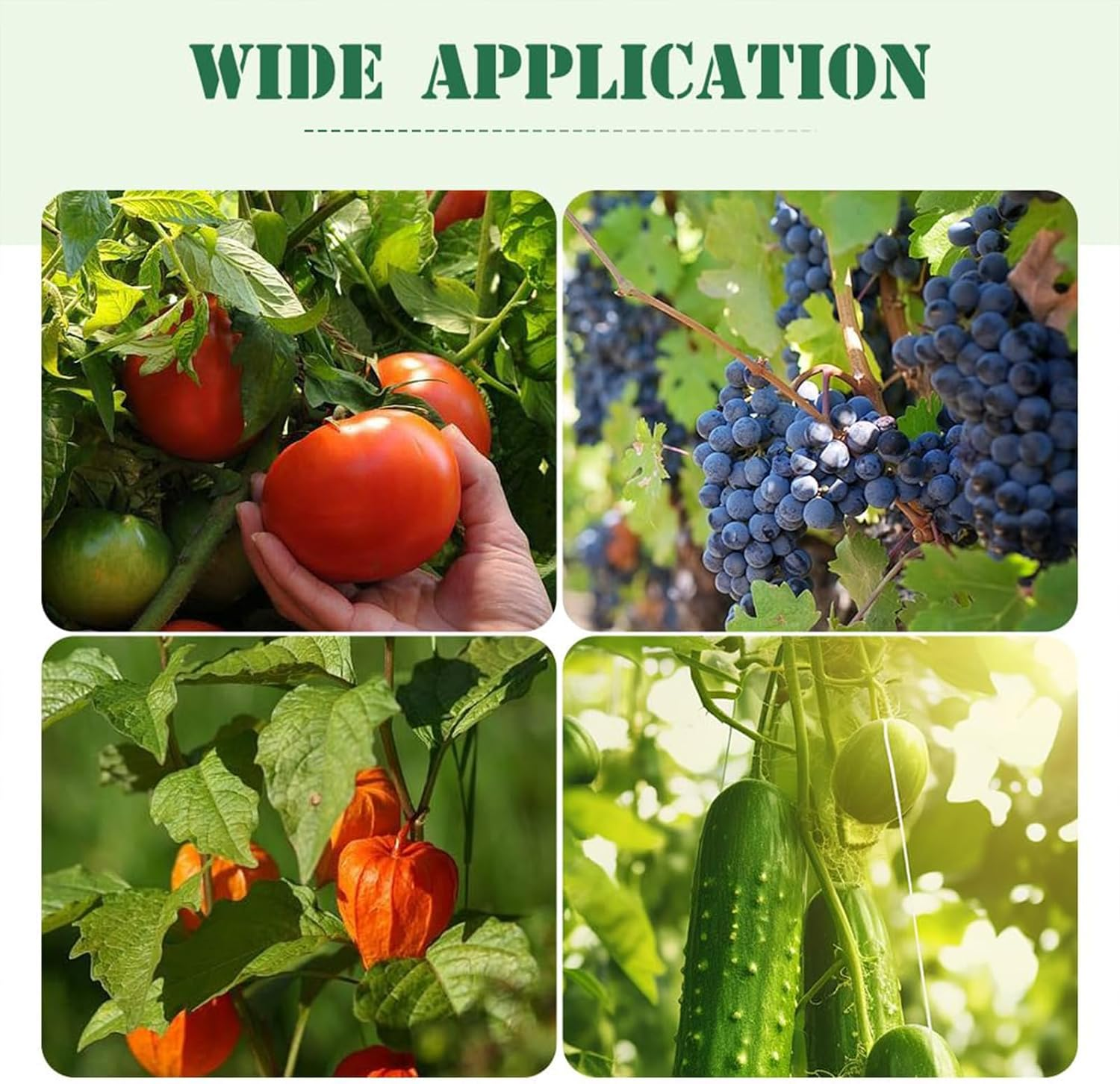 Plant Support Clips, Plastic Plant Clips for Climbing Plants, Reusable Garden Clips for Tomato and Other Vine Plants, Trellis Clips to Grow Upright Makes Plants Healthier (Green, 100Pcs) image number 6